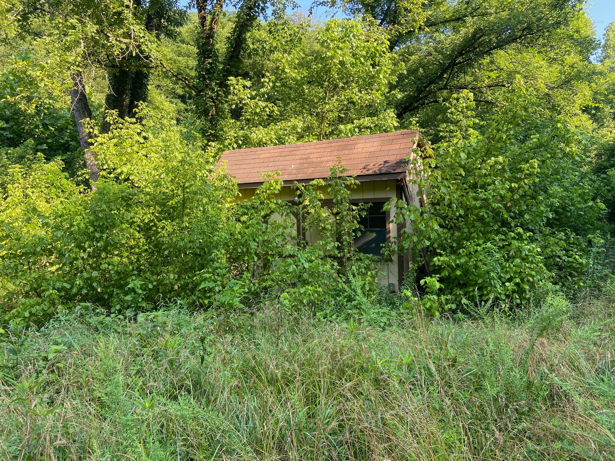 3147 Dale Ridge Rd Property Photo 12