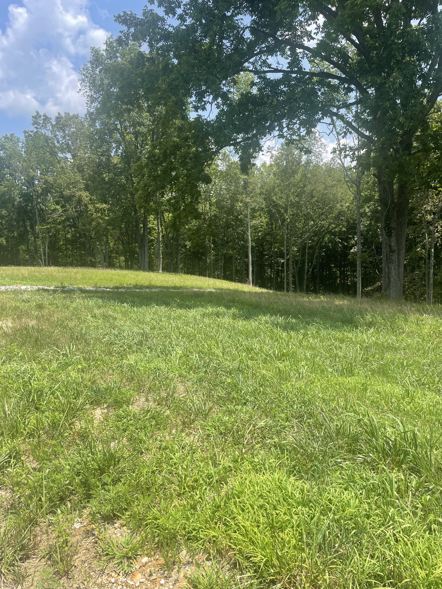 0 Summerlake Ct Property Photo 1
