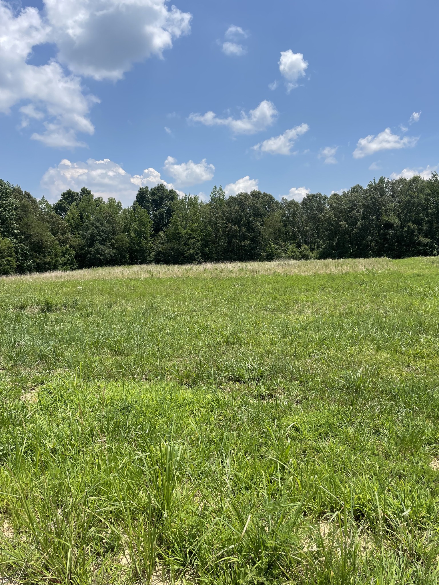 0 Summerlake Ct Property Photo 1
