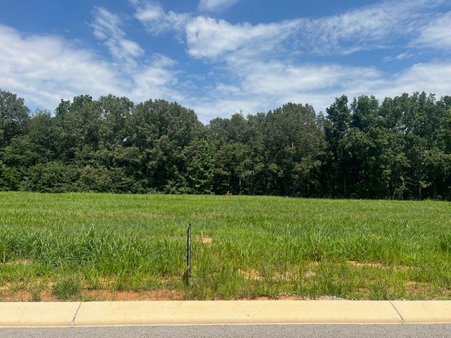 5 Summer Lake Property Photo 4