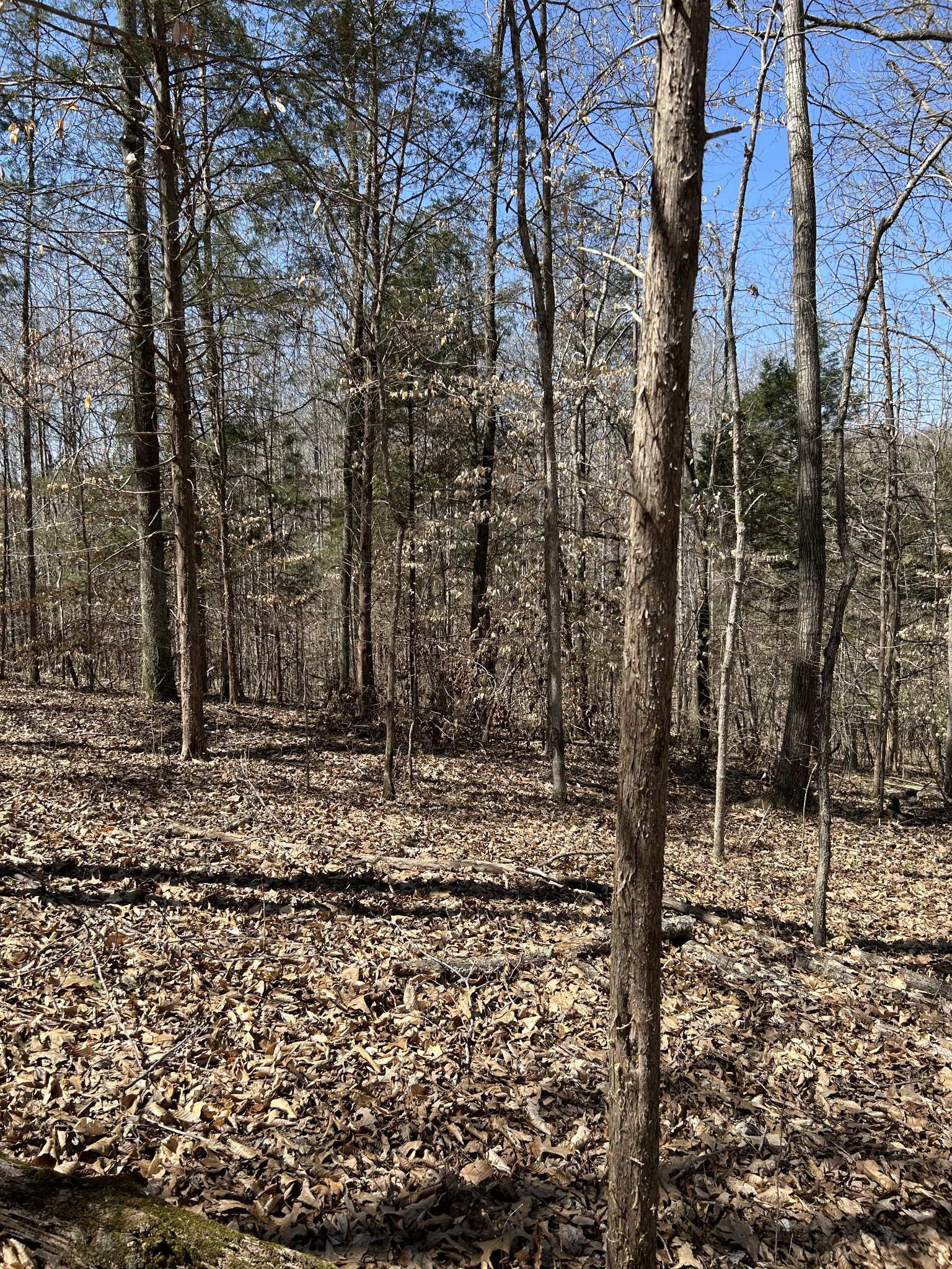 820 Lucas Rd Property Photo 1