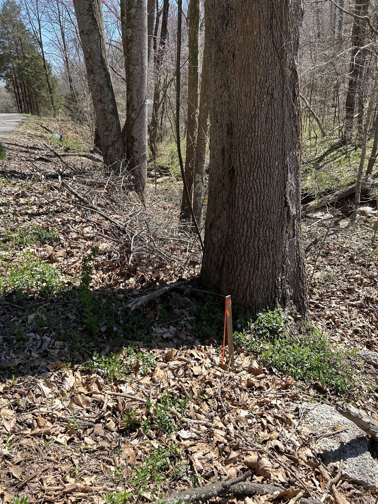 820 Lucas Rd Property Photo 5