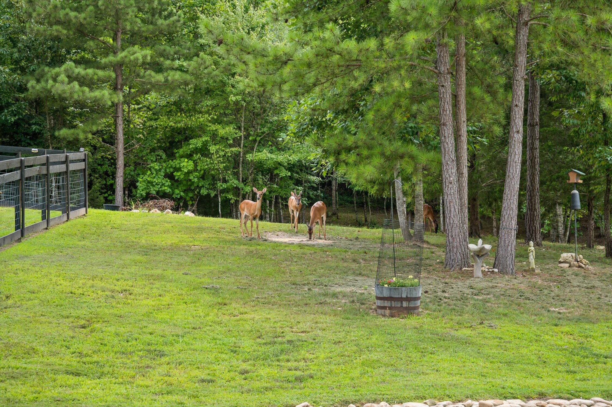 3767 Lee Pike Property Photo 40