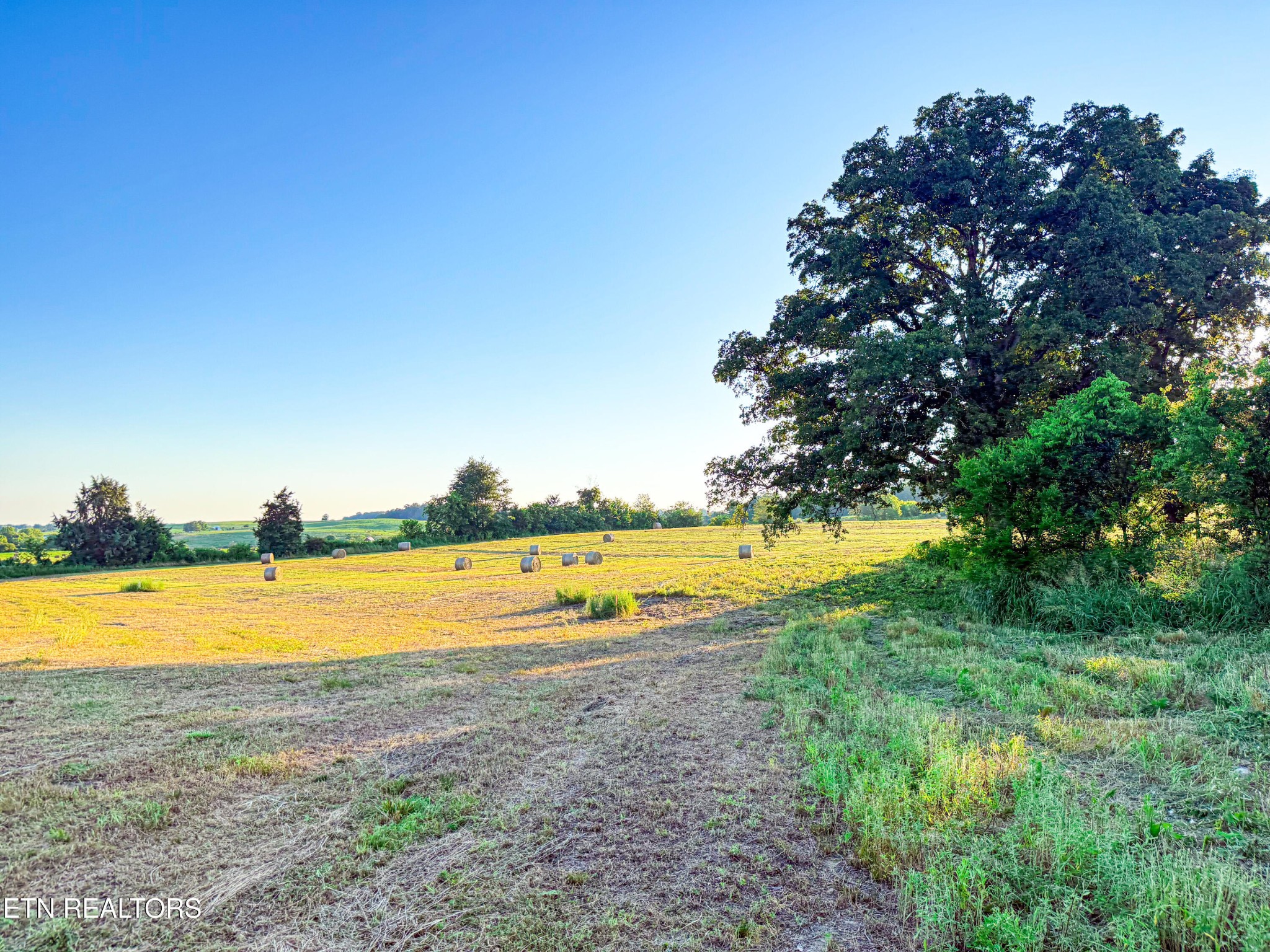 0 Lot 19 Summerset Drive Property Photo 1