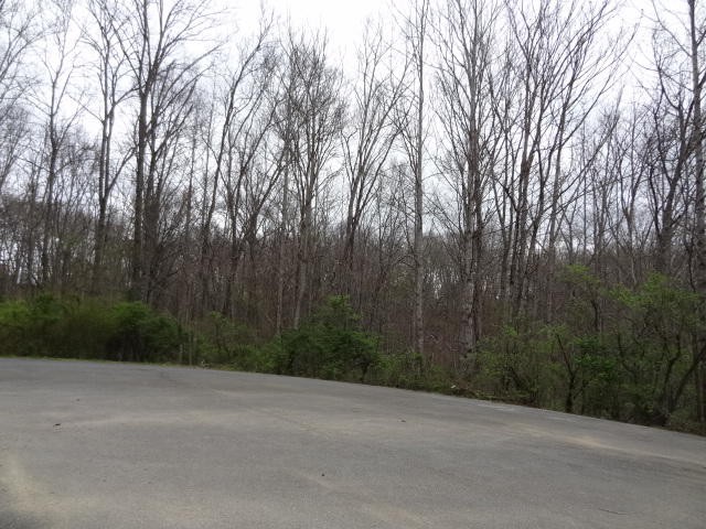 0 Eugene Court Property Photo 1