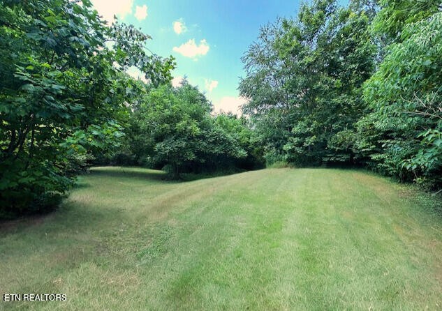 5936 Thorn Grove Pike Property Photo 22