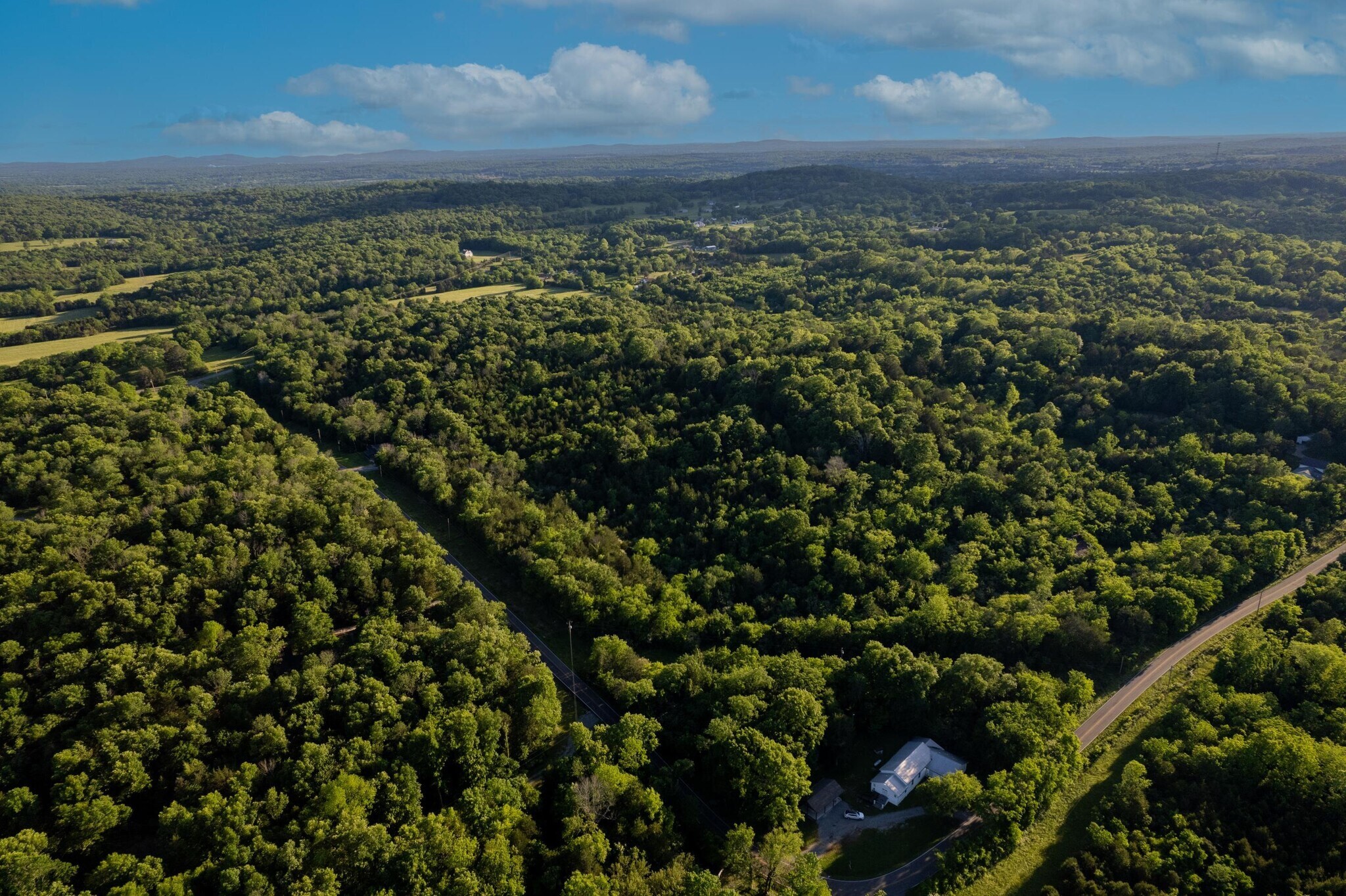 0 South Dickerson Chapel Rd Property Photo 2