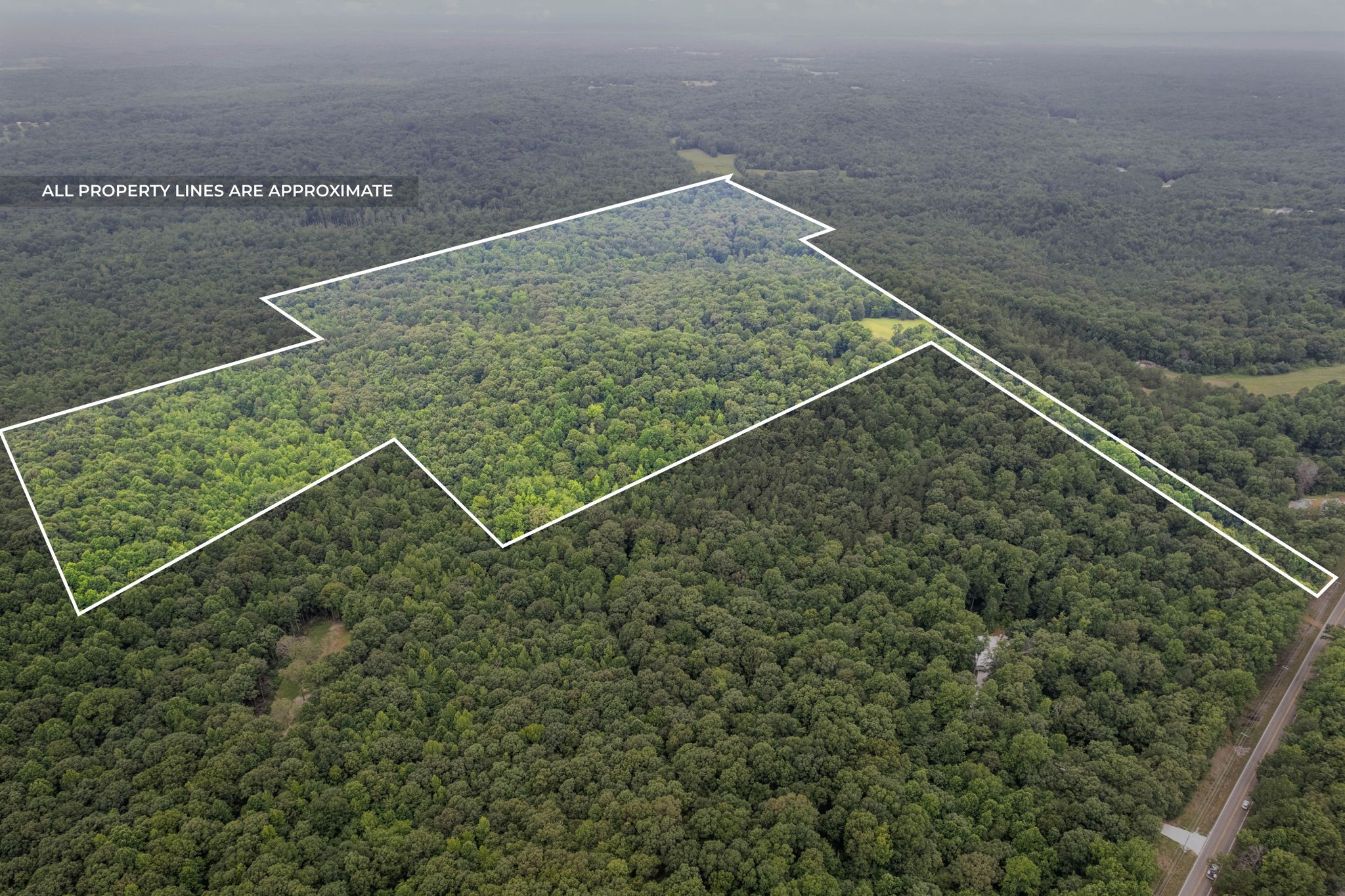 0 Highway 119 Property Photo 1