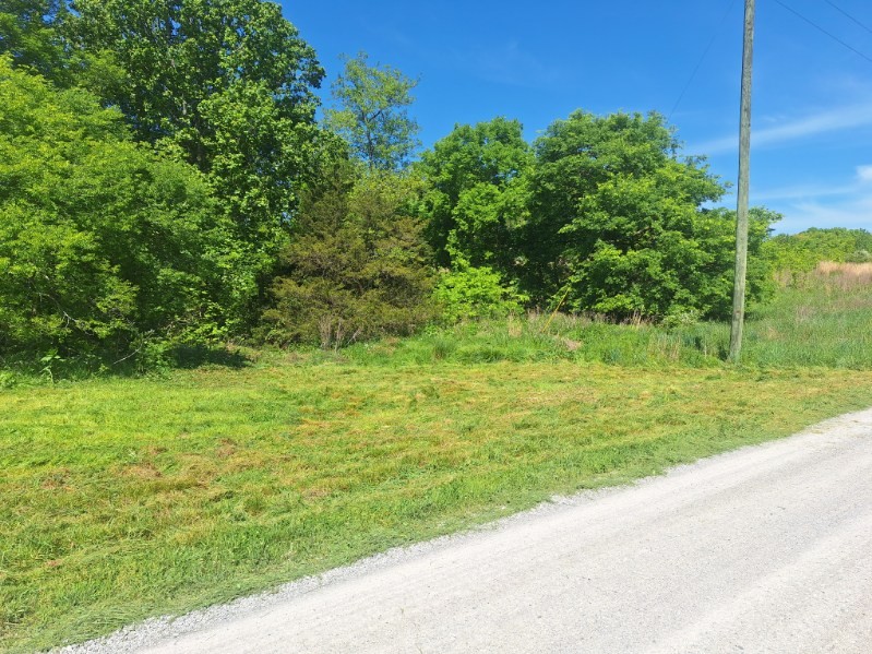 0 Lake Bluff Red Property Photo 19