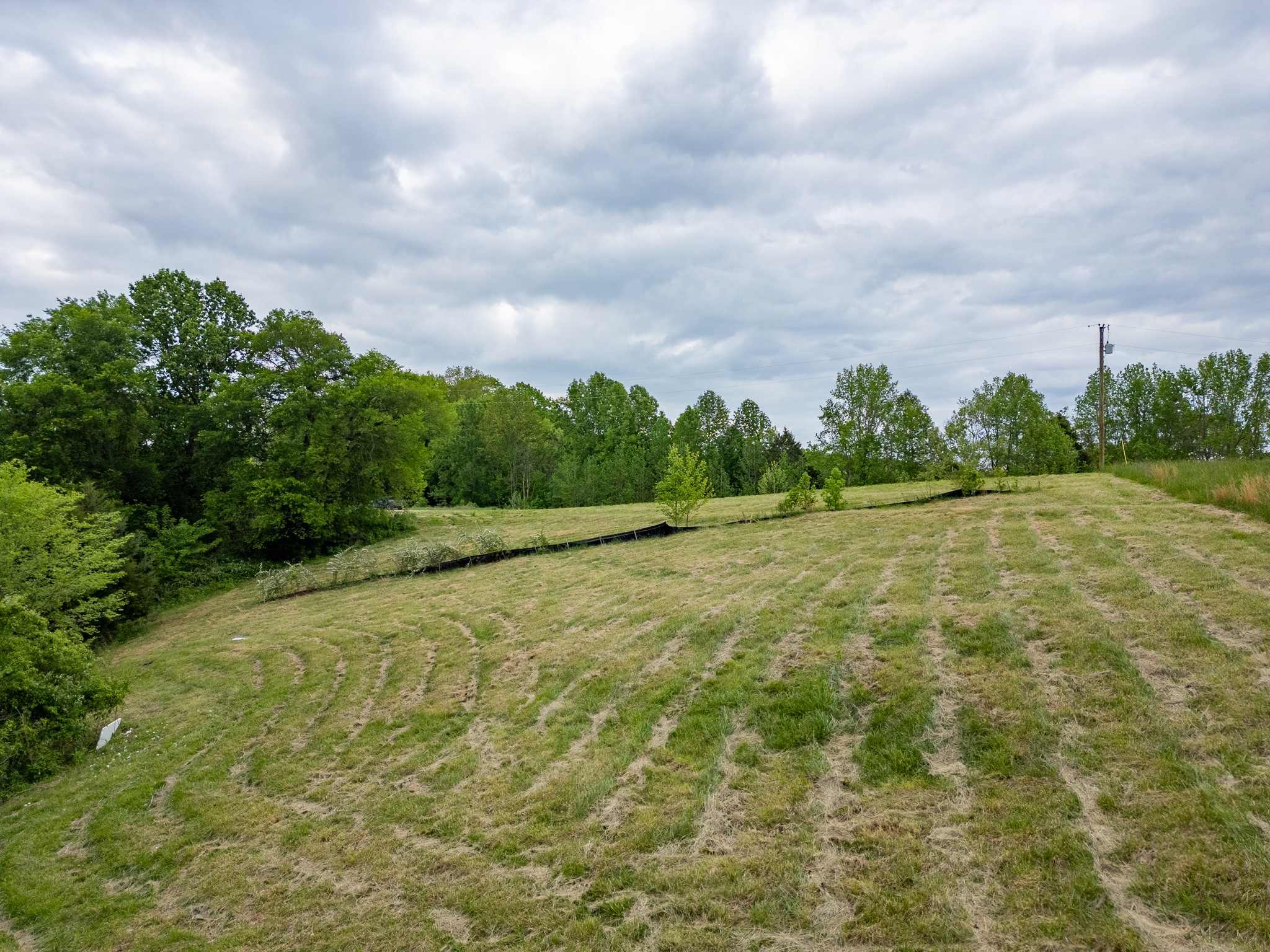 0 Lake Bluff Red Property Photo 23