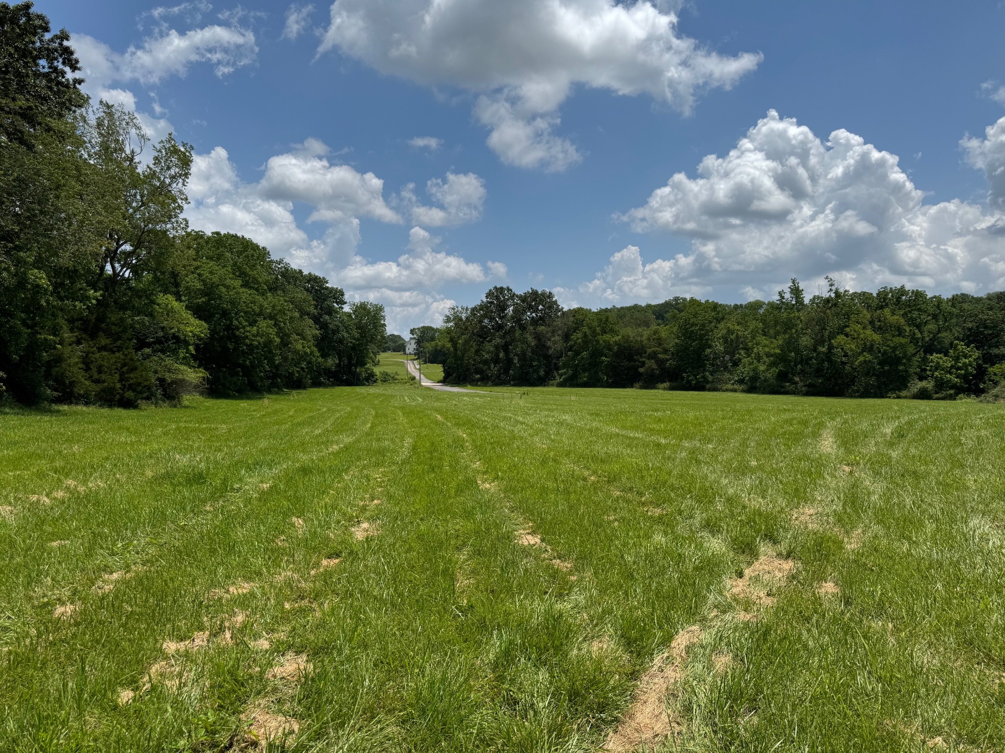6700 Timothy Grove Ln Property Photo 1