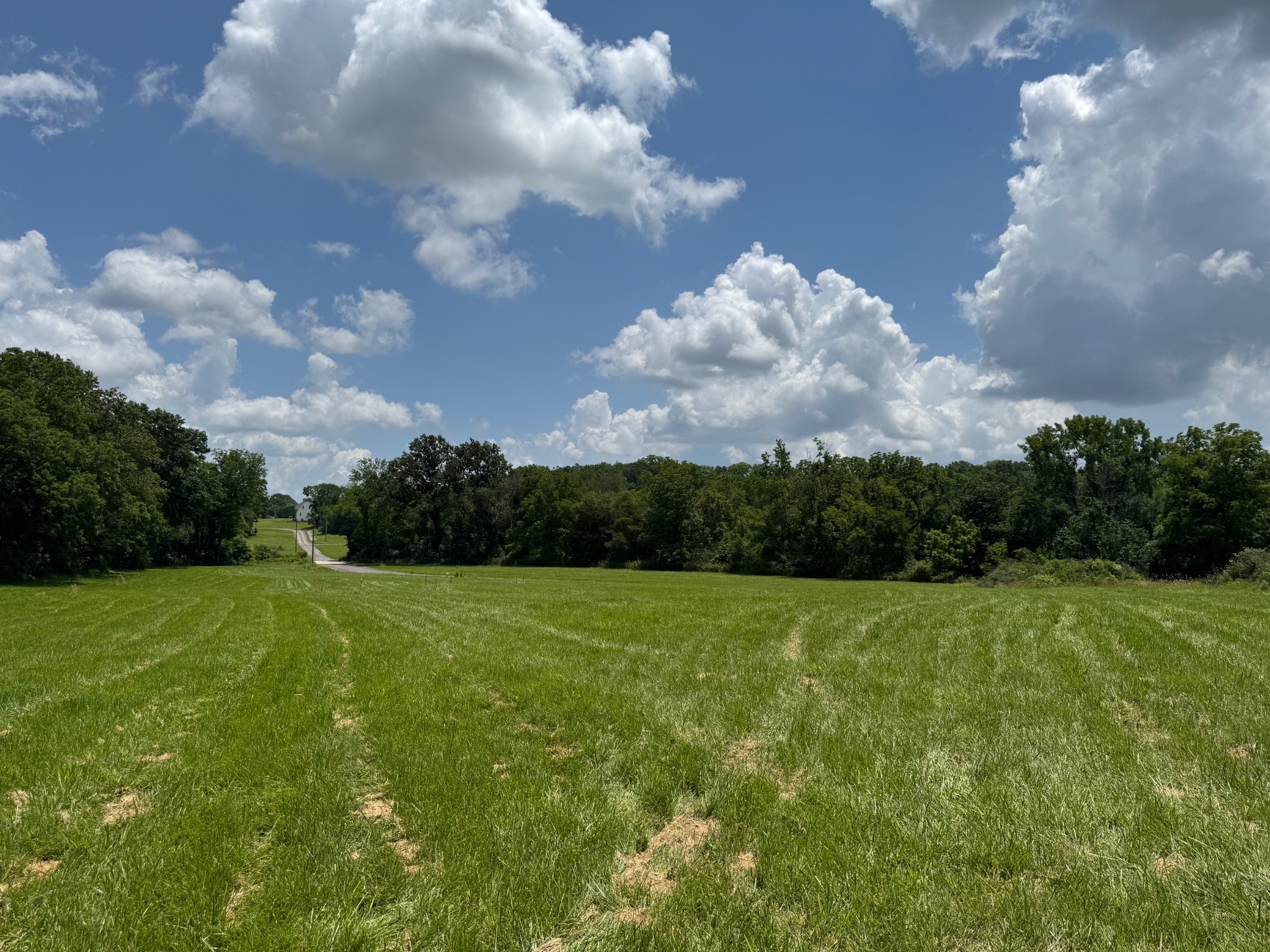 6700 Timothy Grove Ln Property Photo 2