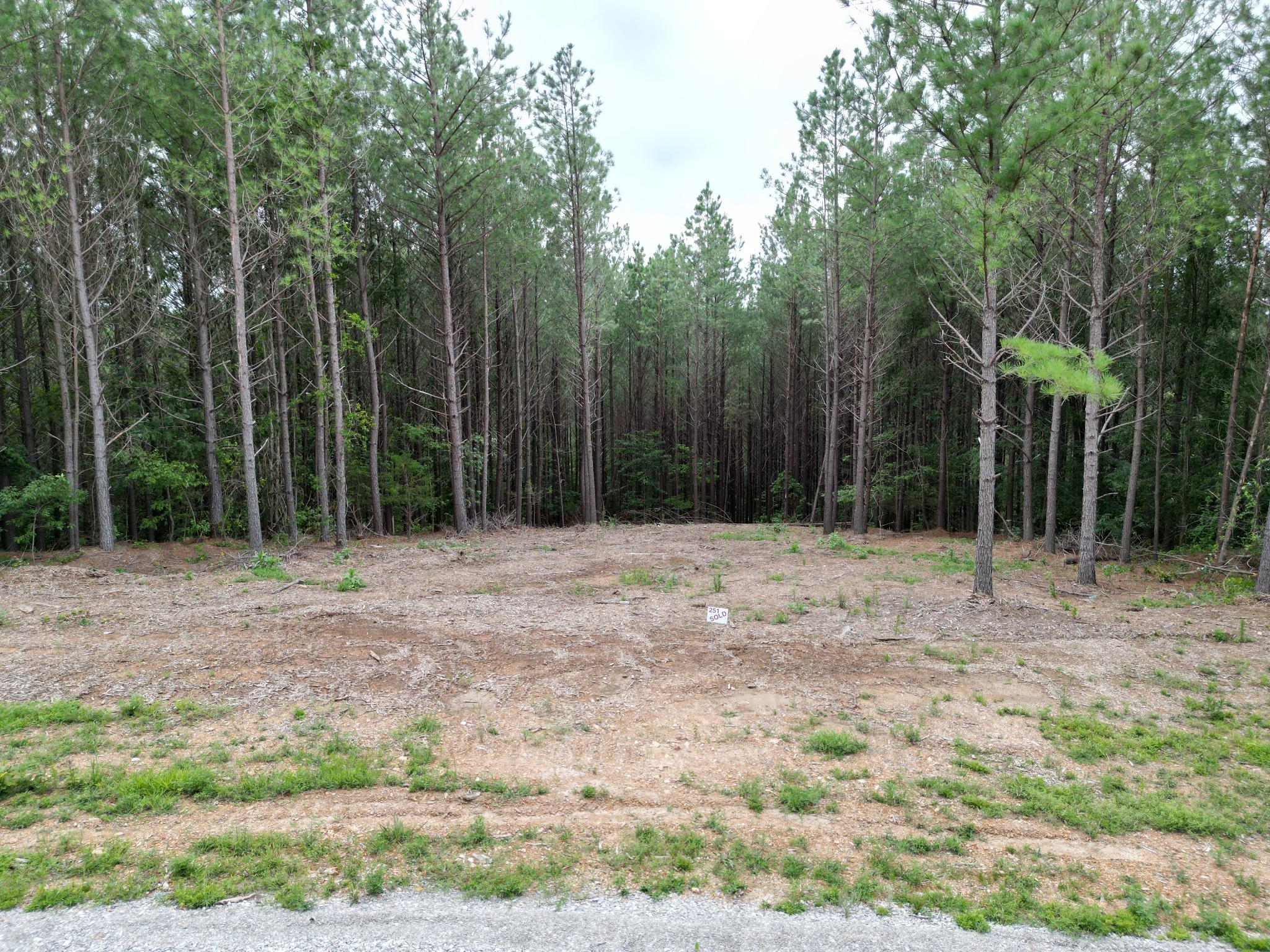 297 Ashwood Dr Property Photo 1