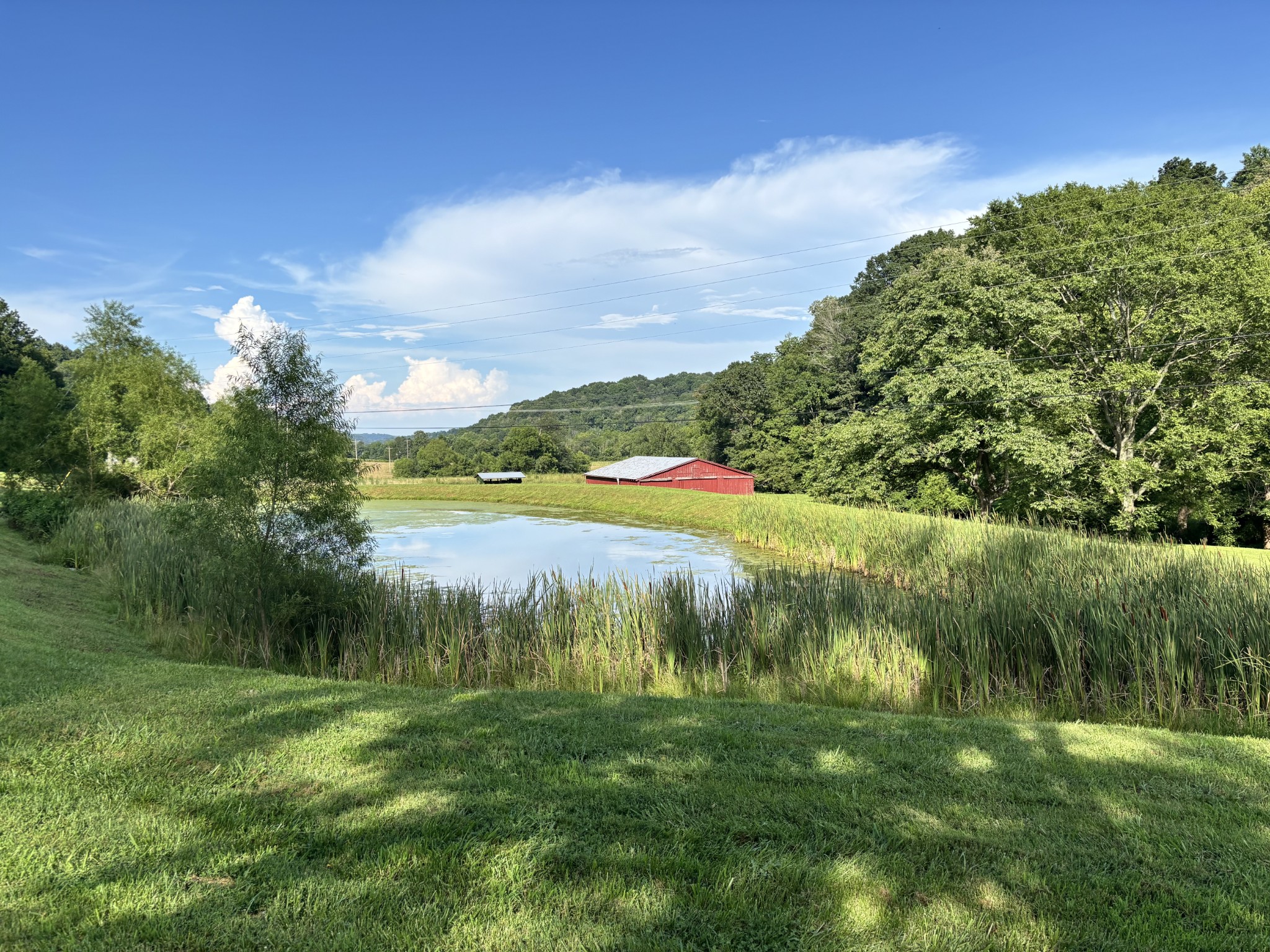 3807 Bear Creek Rd Property Photo