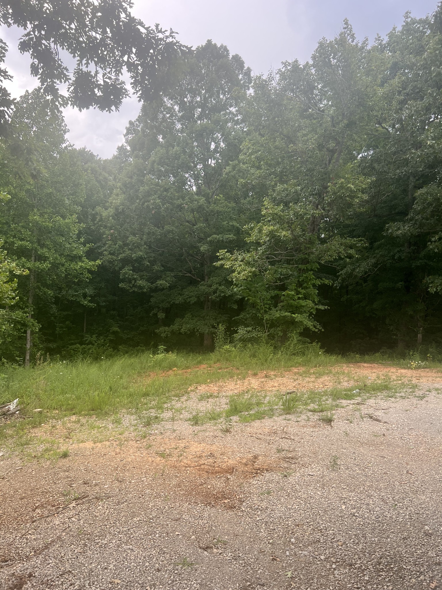 307 Johnson Chapel Rd Property Photo 1