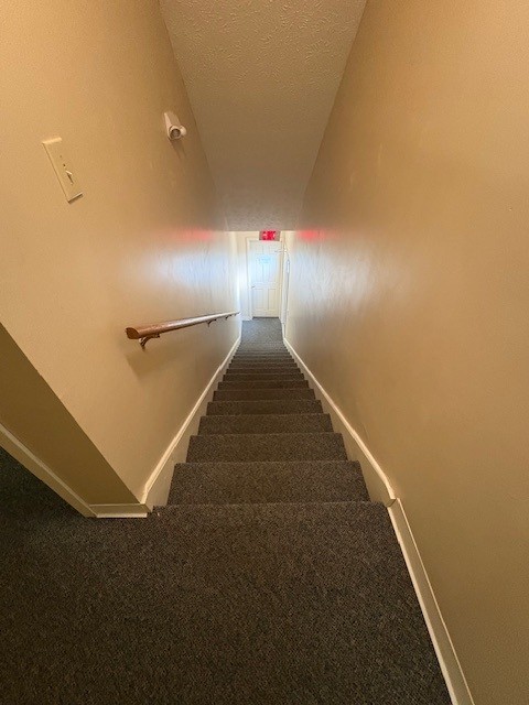 341 Hancock St Property Photo 5