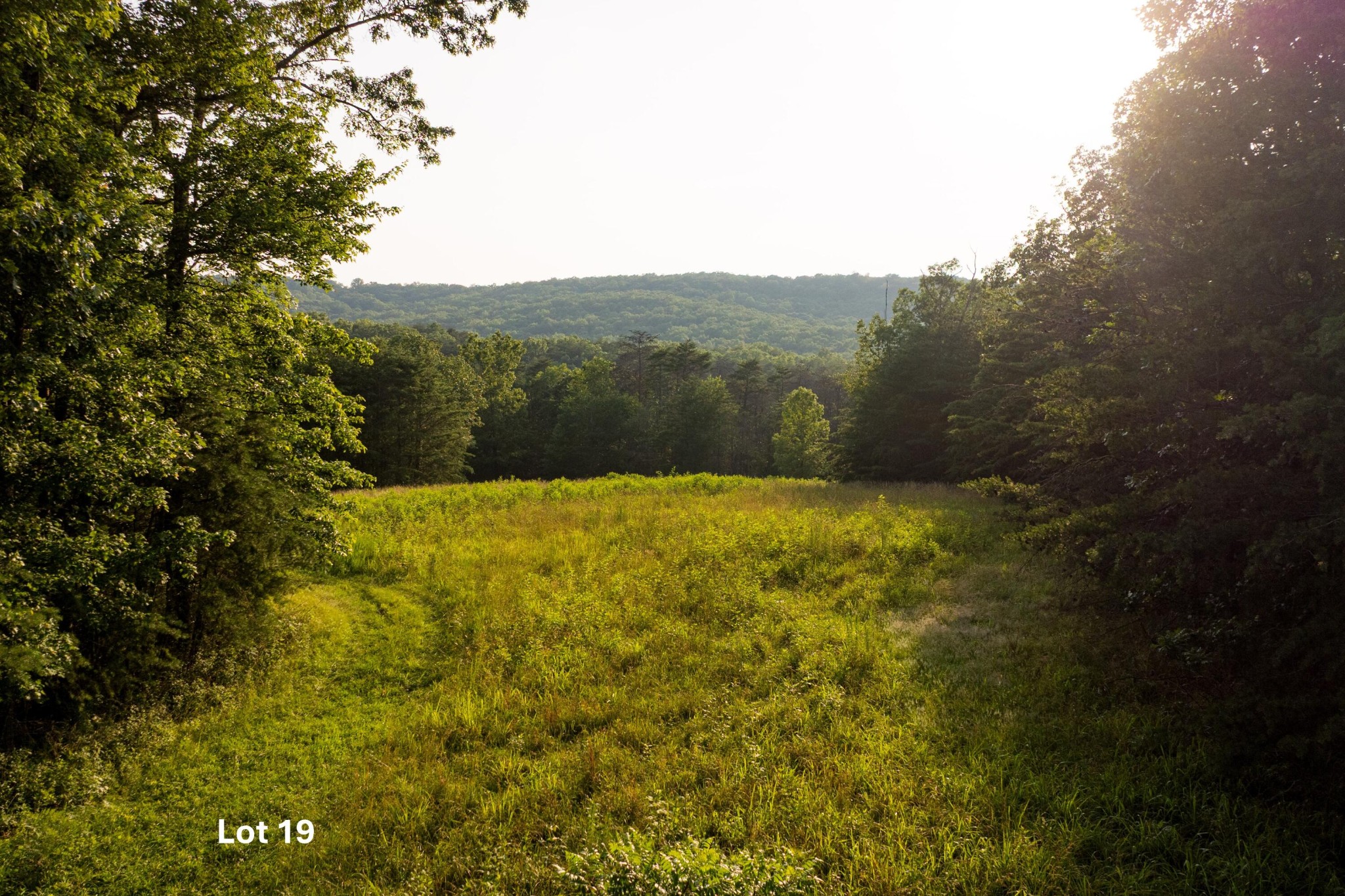 0 Long Branch Road Property Photo 1