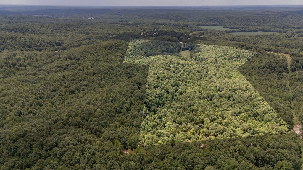 0 Copperhead Ln Property Photo 1