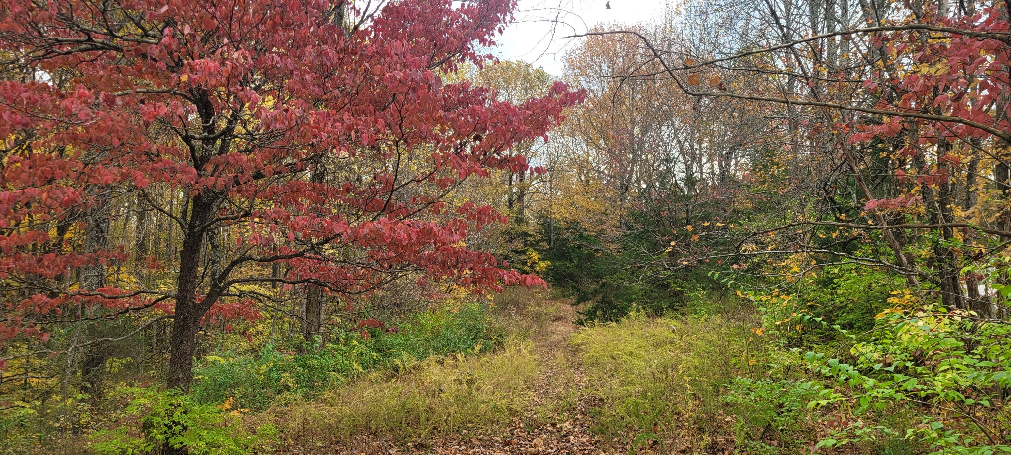 1 Sugar Ridge Rd Property Photo 9