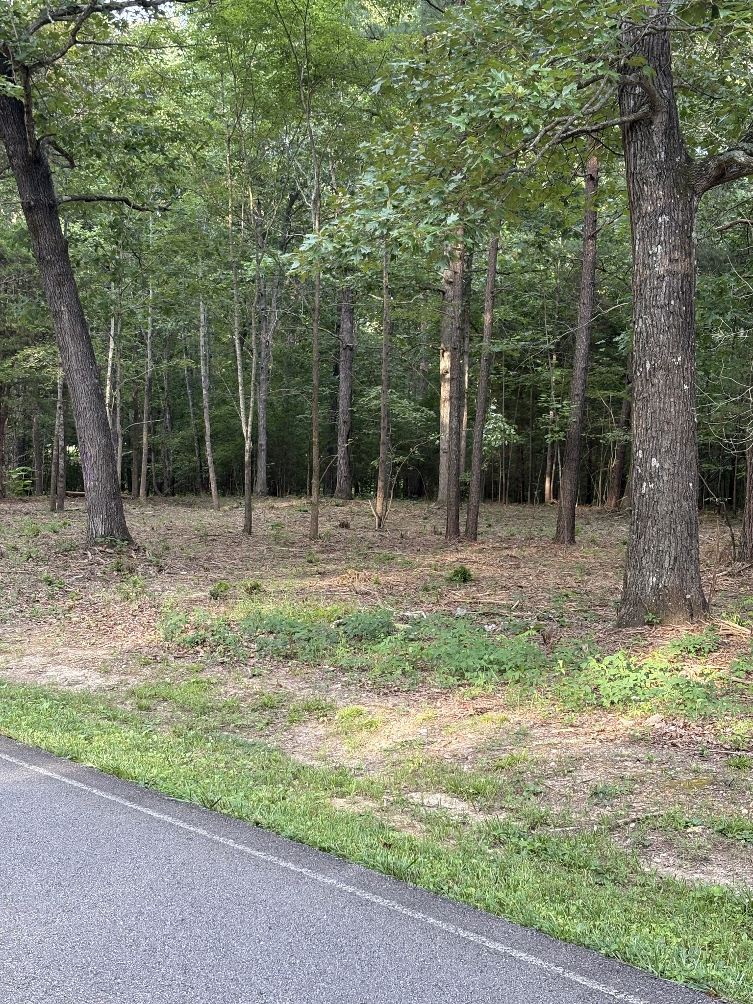 0 Iron Hill Property Photo 2