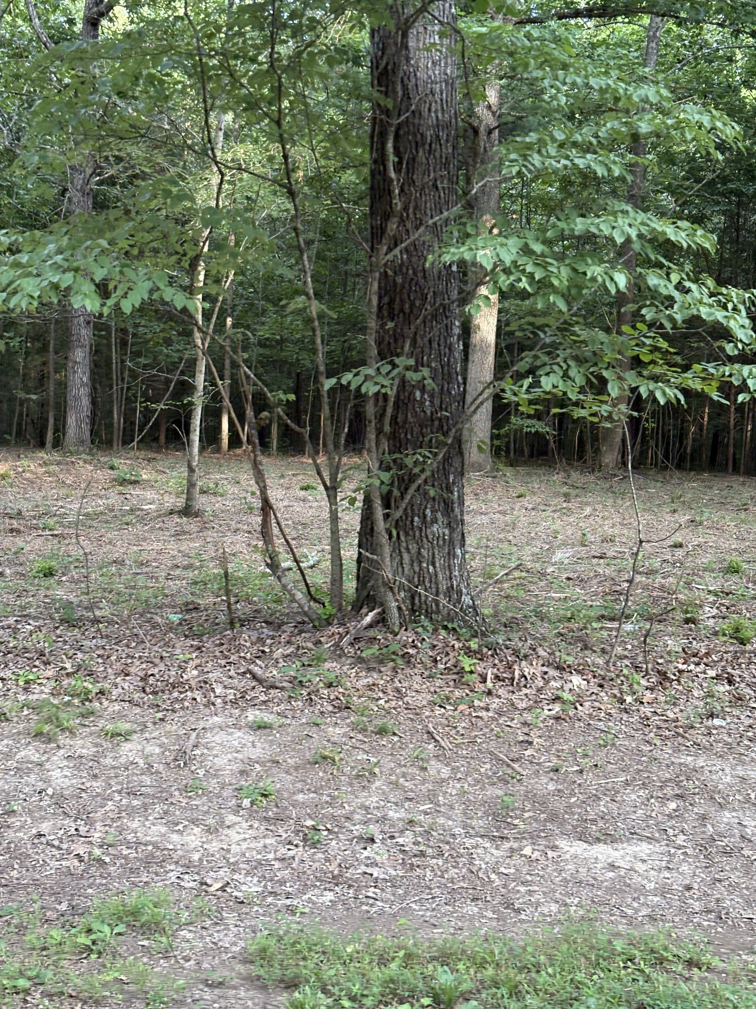 0 Iron Hill Property Photo 3