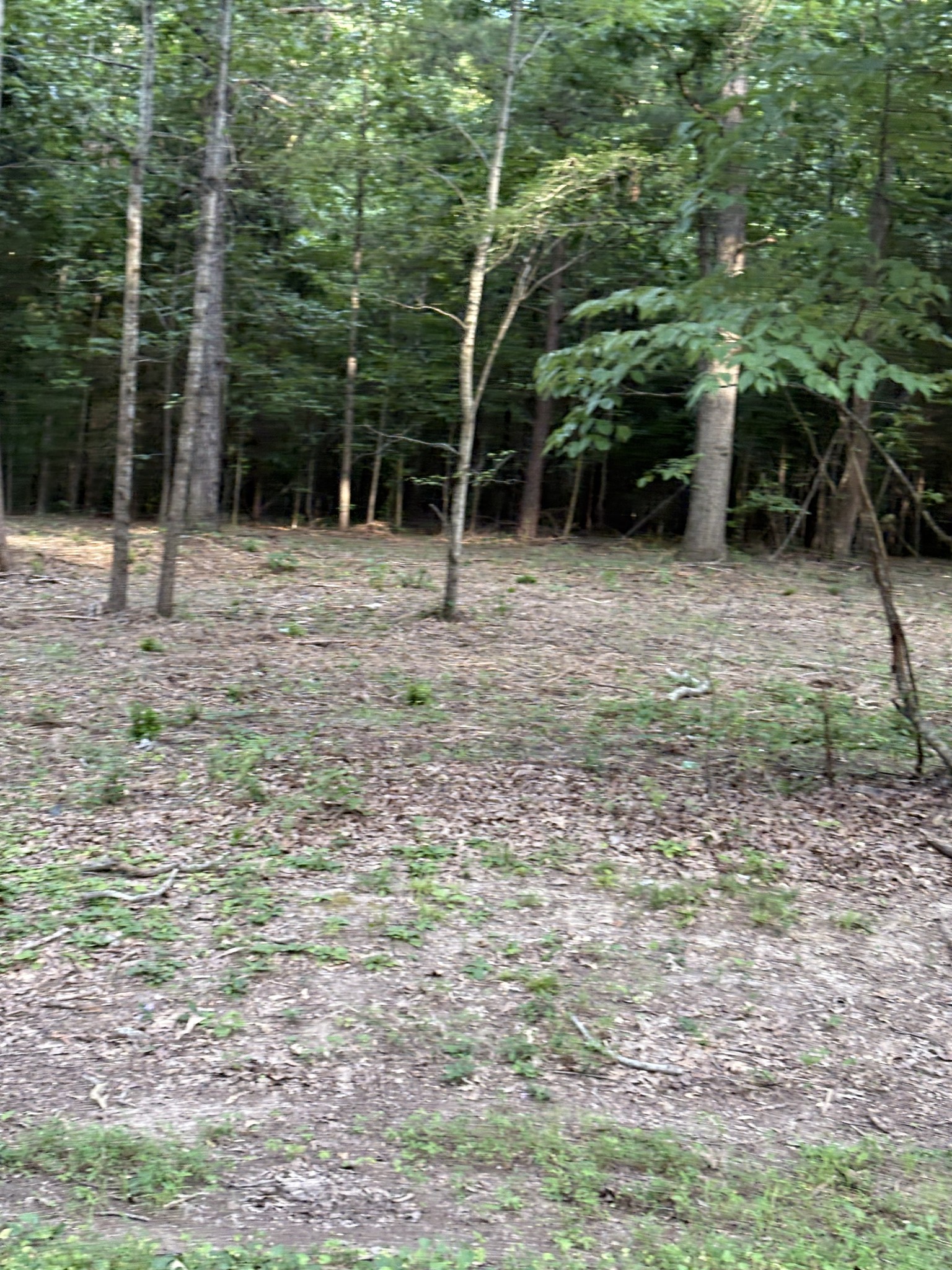 0 Iron Hill Property Photo 4