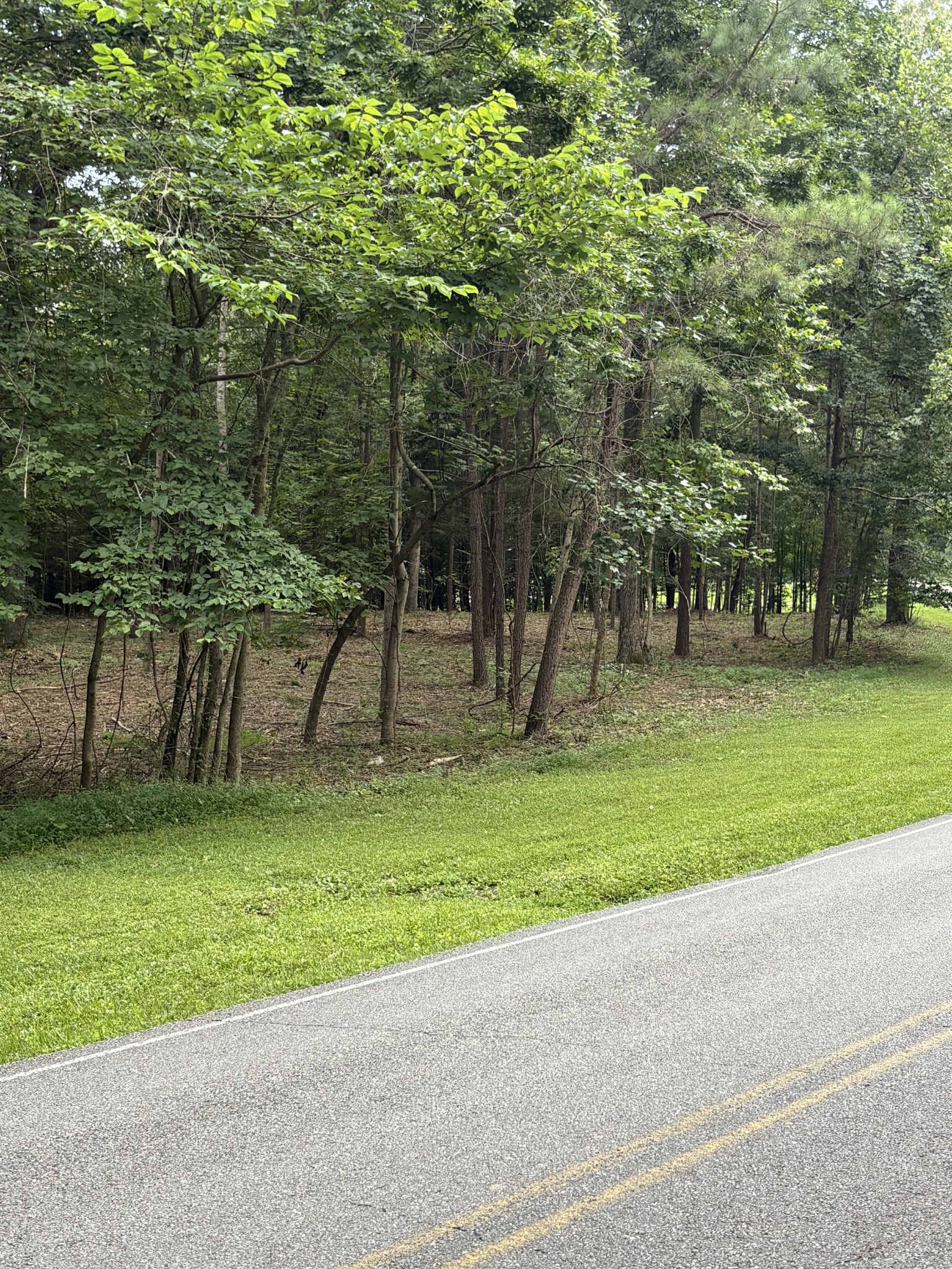 0 Iron Hill Property Photo 5