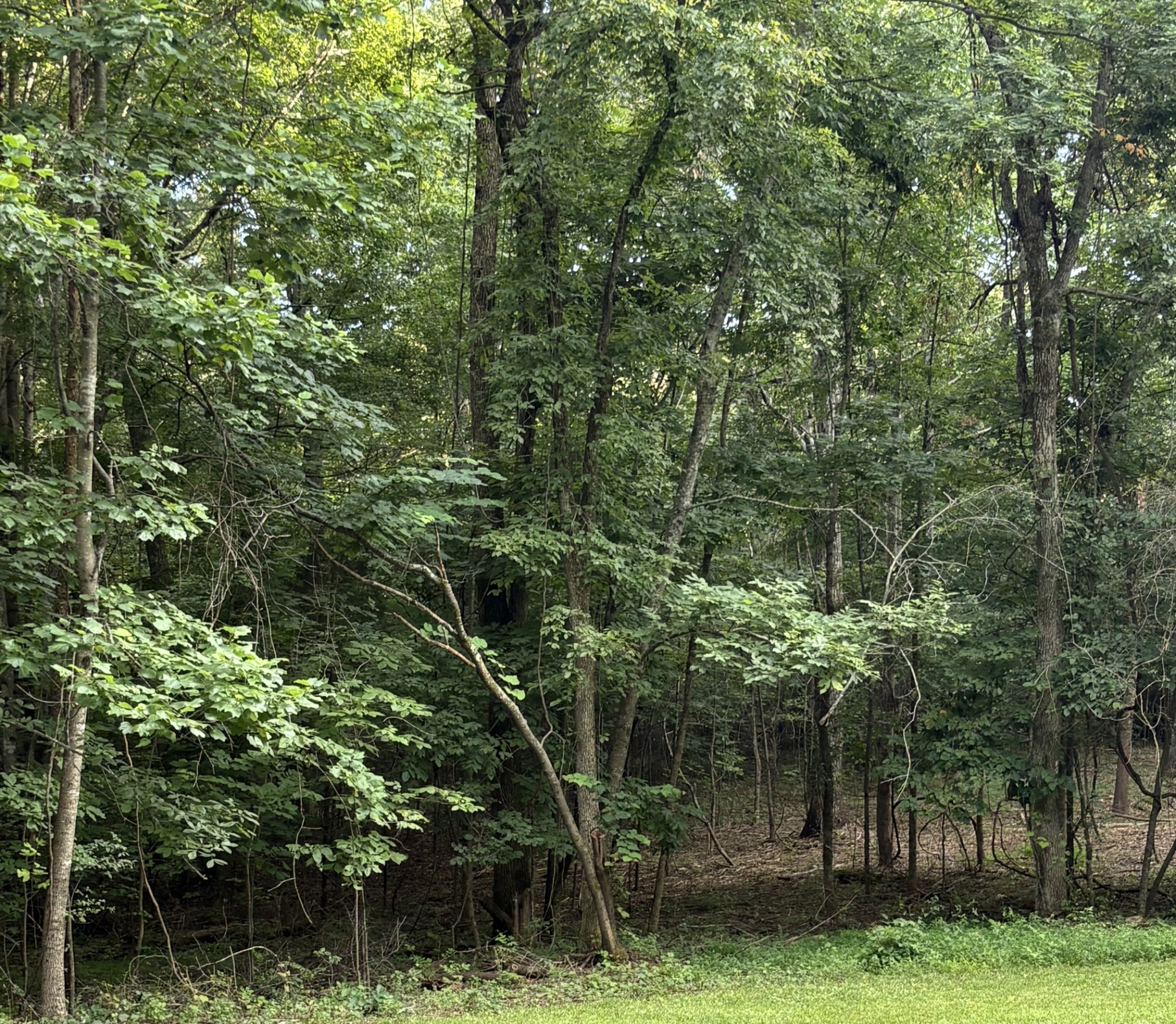 0 Iron Hill Property Photo 6