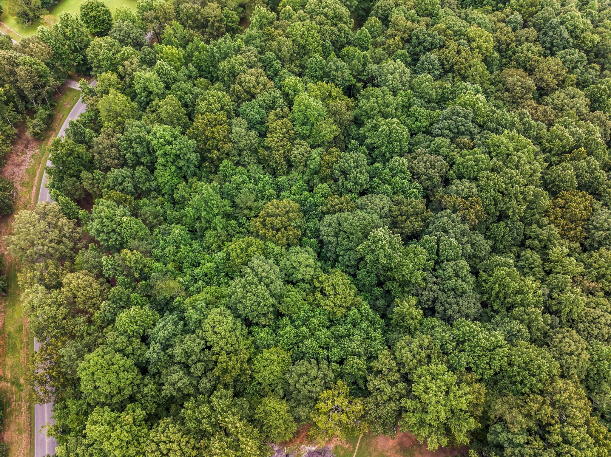 0 Iron Hill Property Photo 9