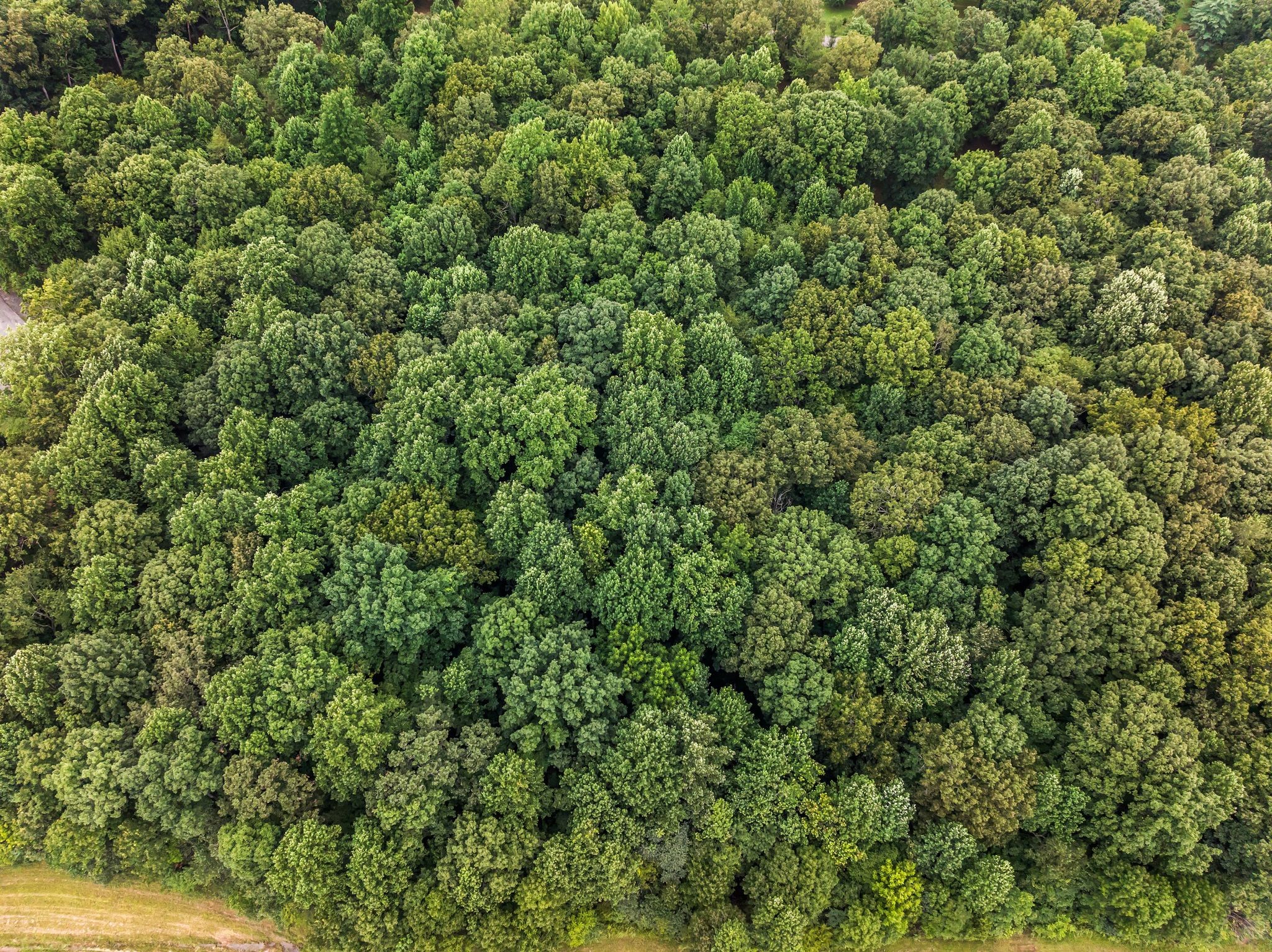 0 Iron Hill Property Photo 10