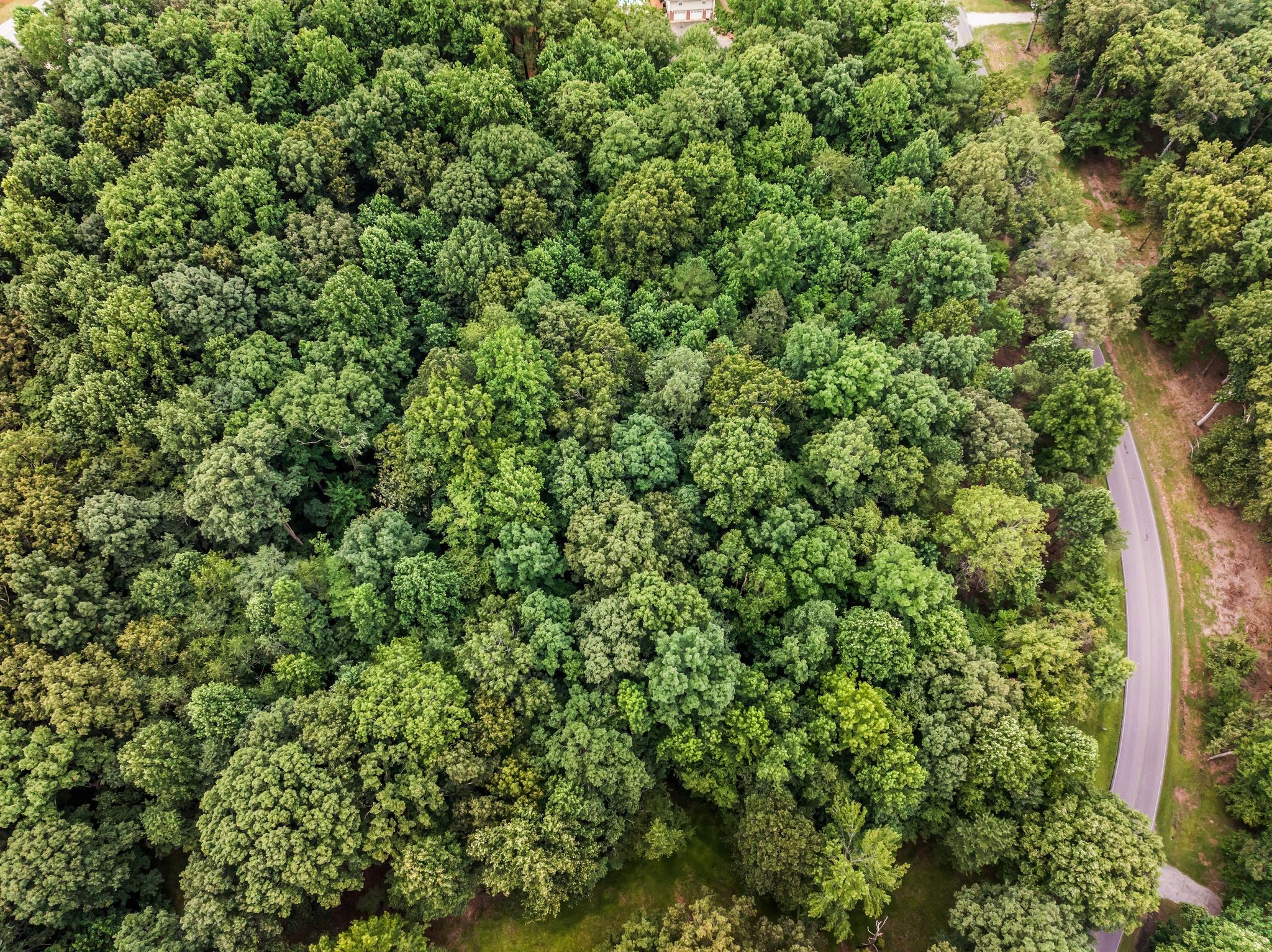 0 Iron Hill Property Photo 11