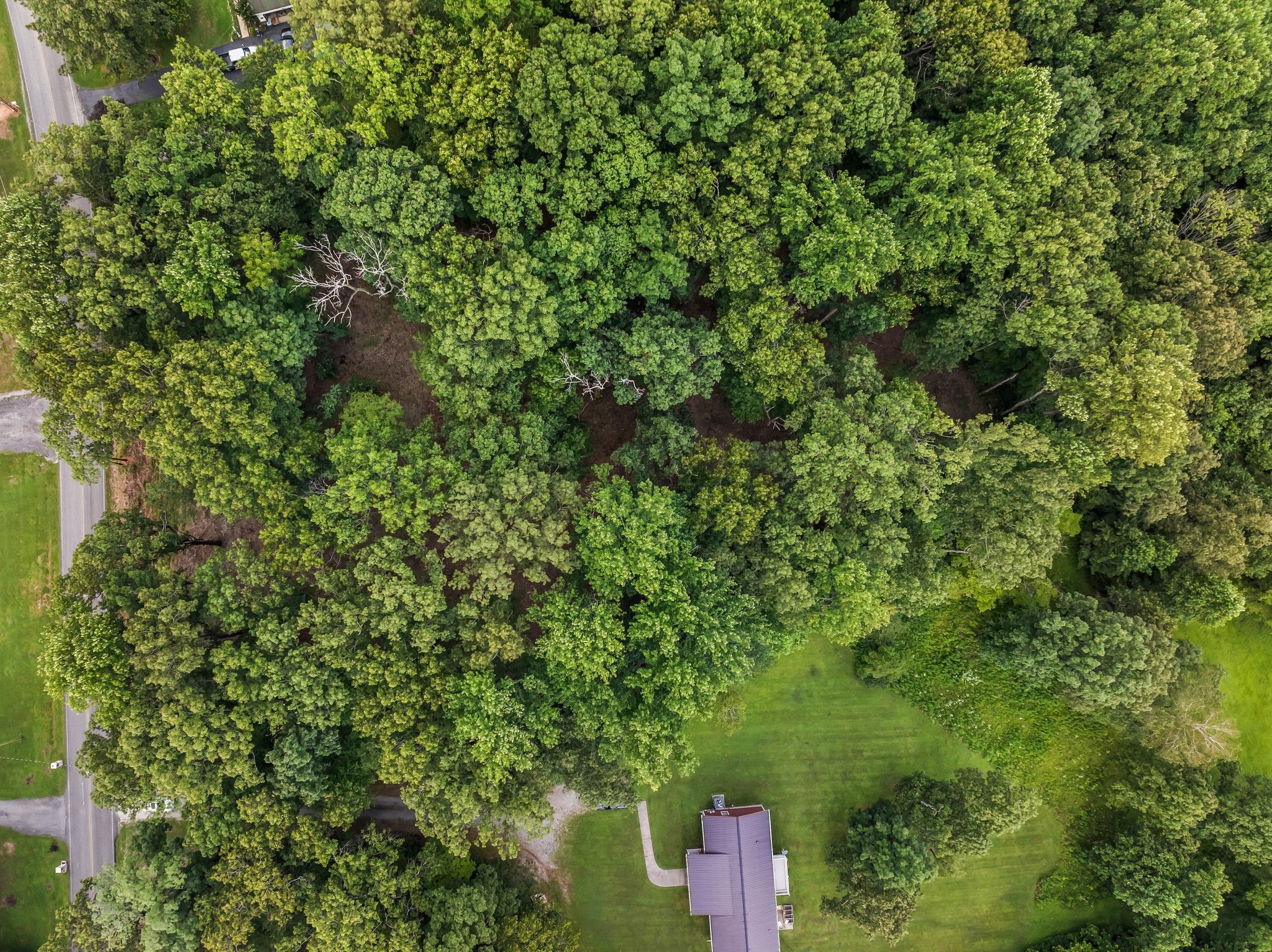 0 Iron Hill Property Photo 13