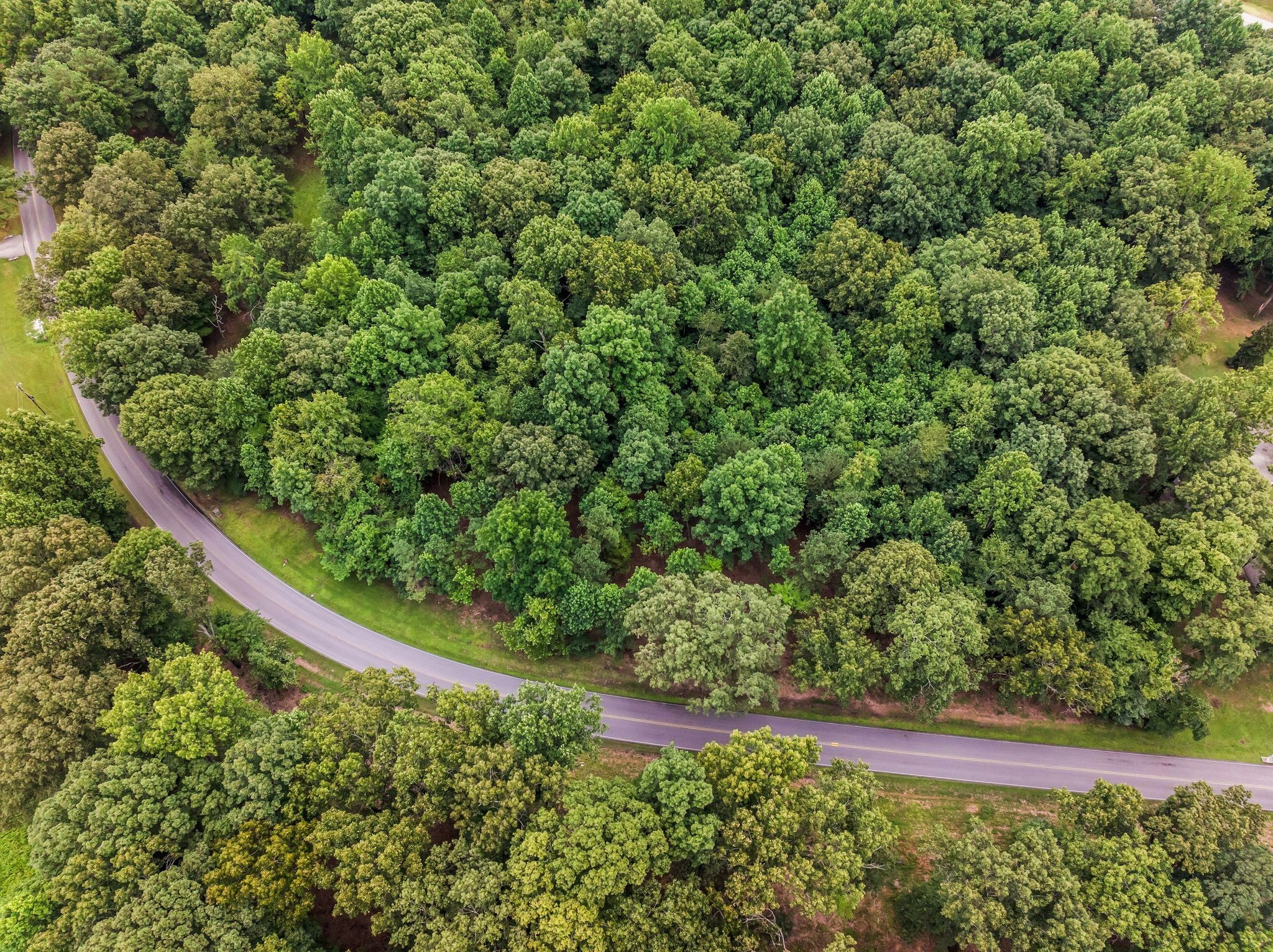 0 Iron Hill Rd Property Photo 1