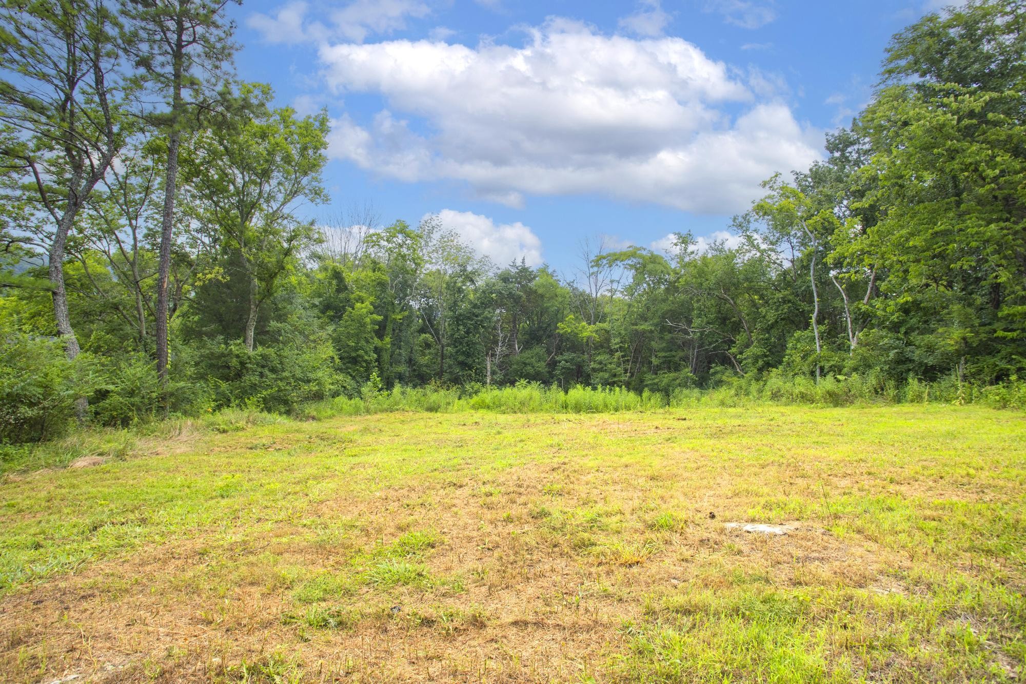 4251 Brick Church Pike Property Photo 1