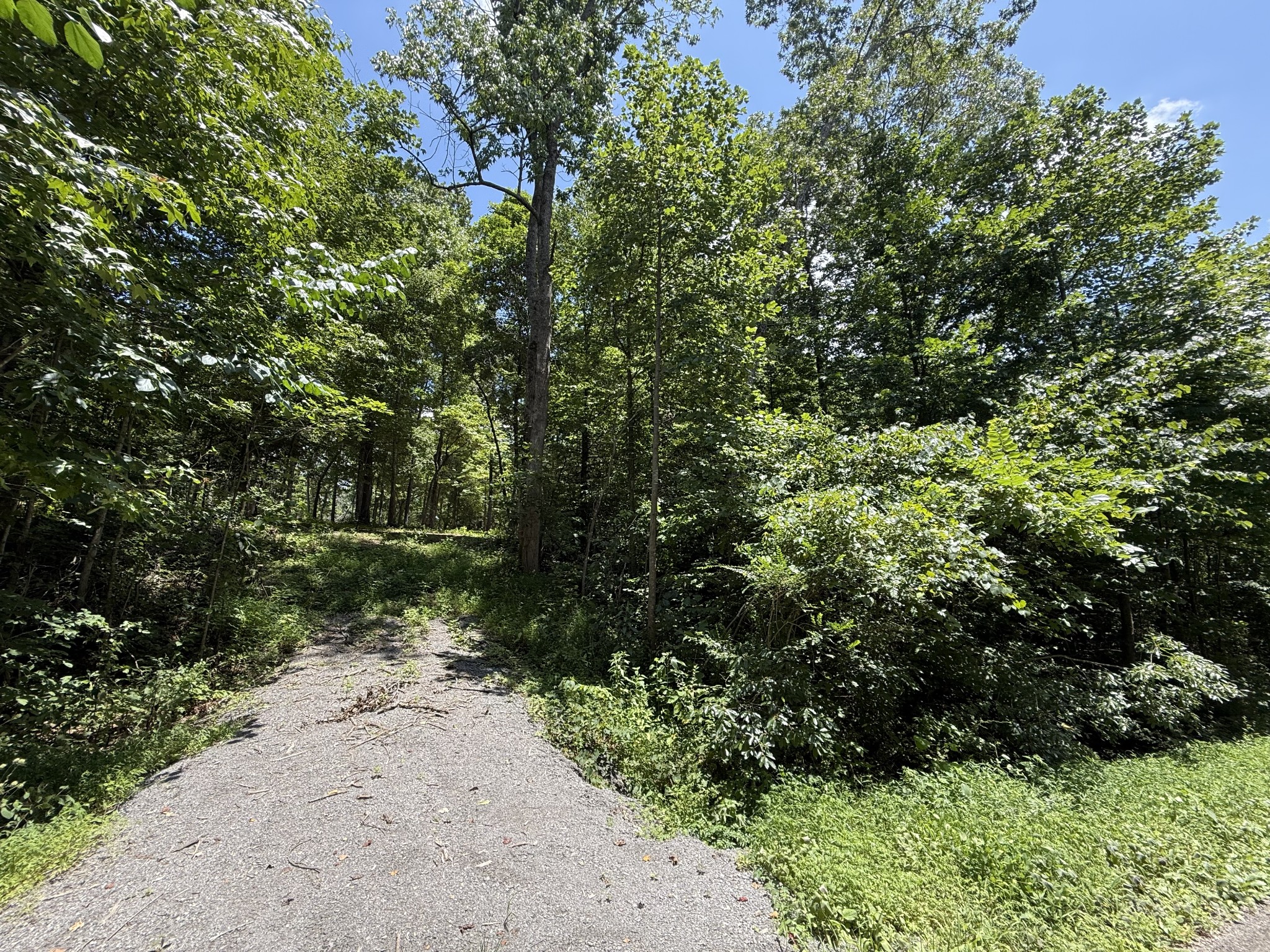 114 White Springs Road Property Photo