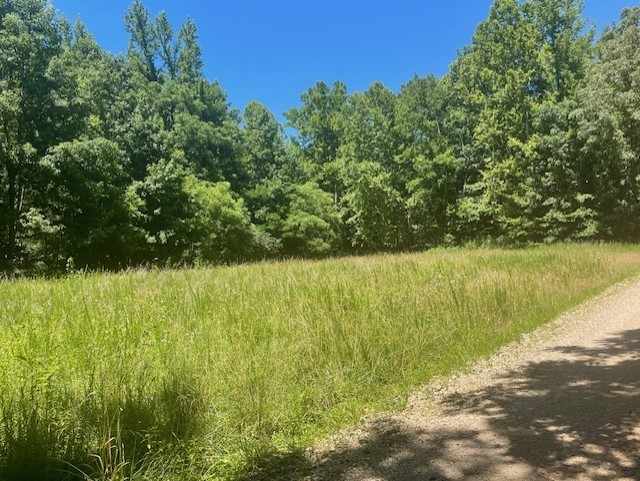 5597 Harmon Creek Rd Property Photo 1