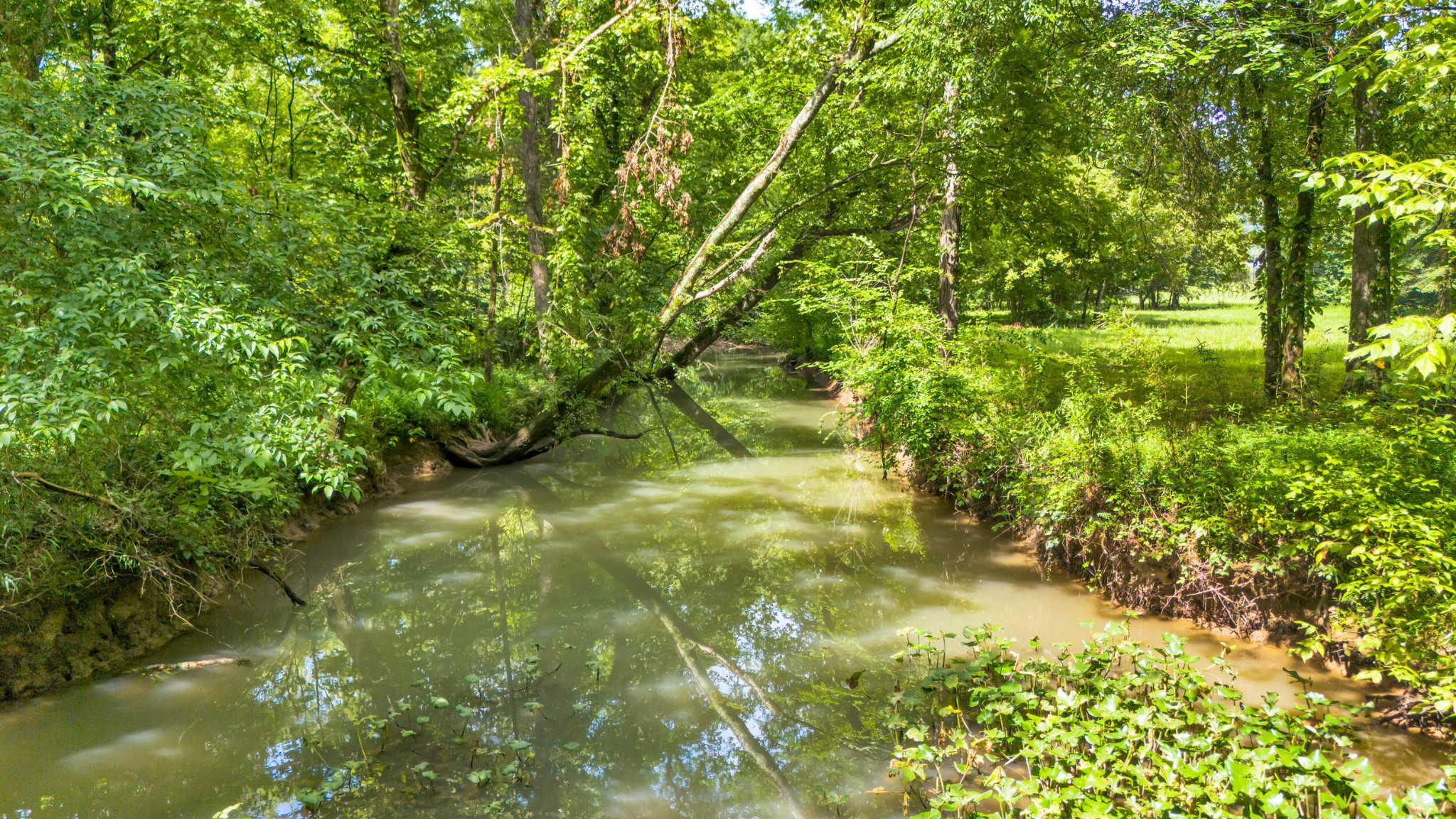 575 W Nickajack Road Property Photo 4