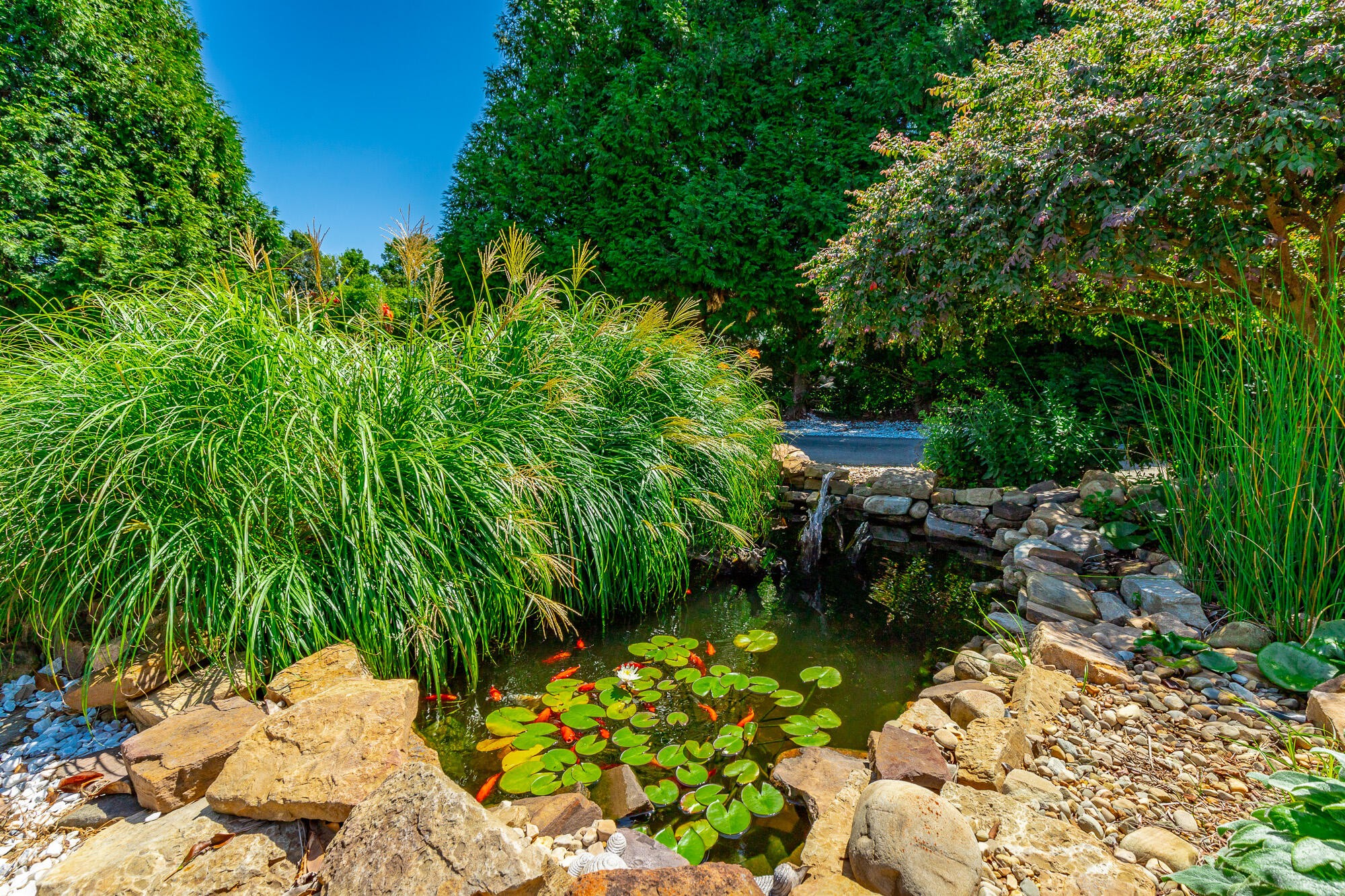 575 W Nickajack Road Property Photo 83