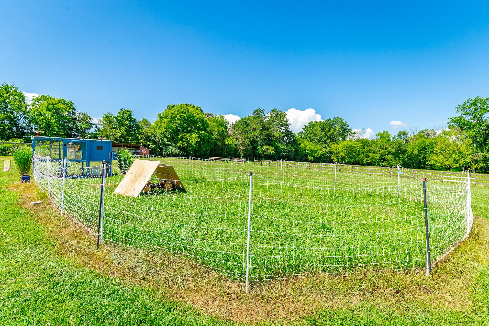 575 W Nickajack Road Property Photo 91