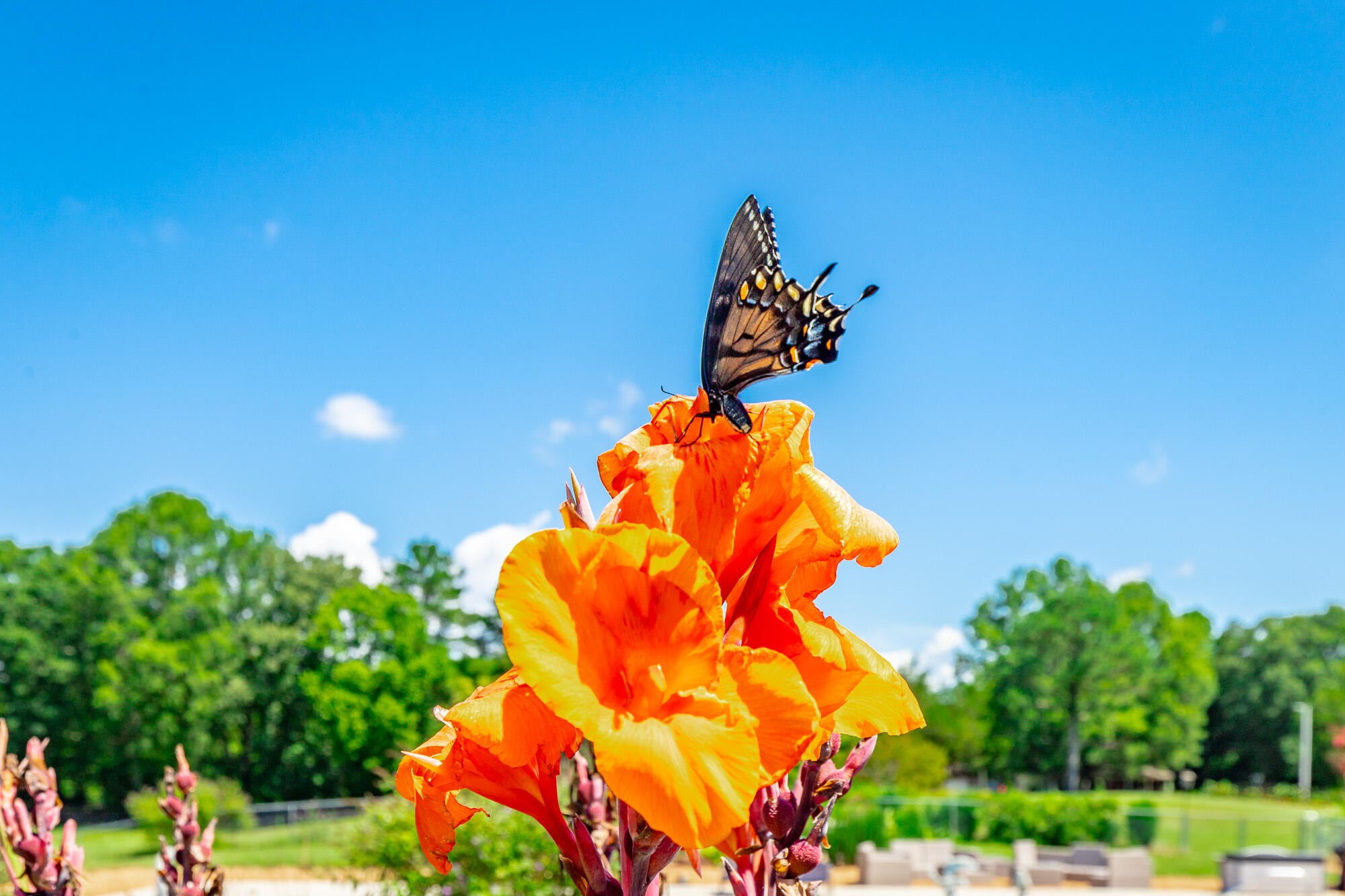 575 W Nickajack Road Property Photo 98