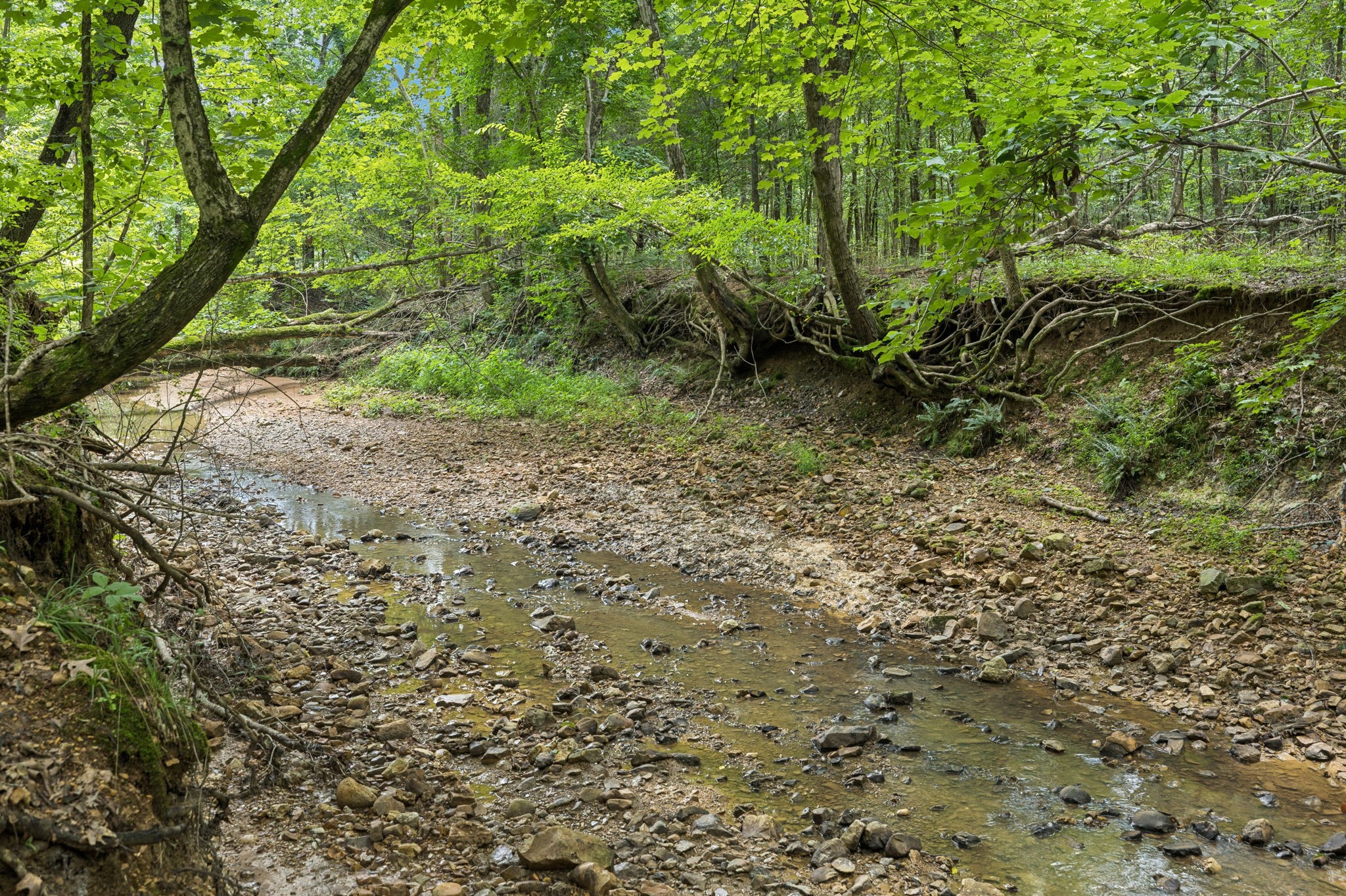 0 Deer Creek Rd Property Photo 2