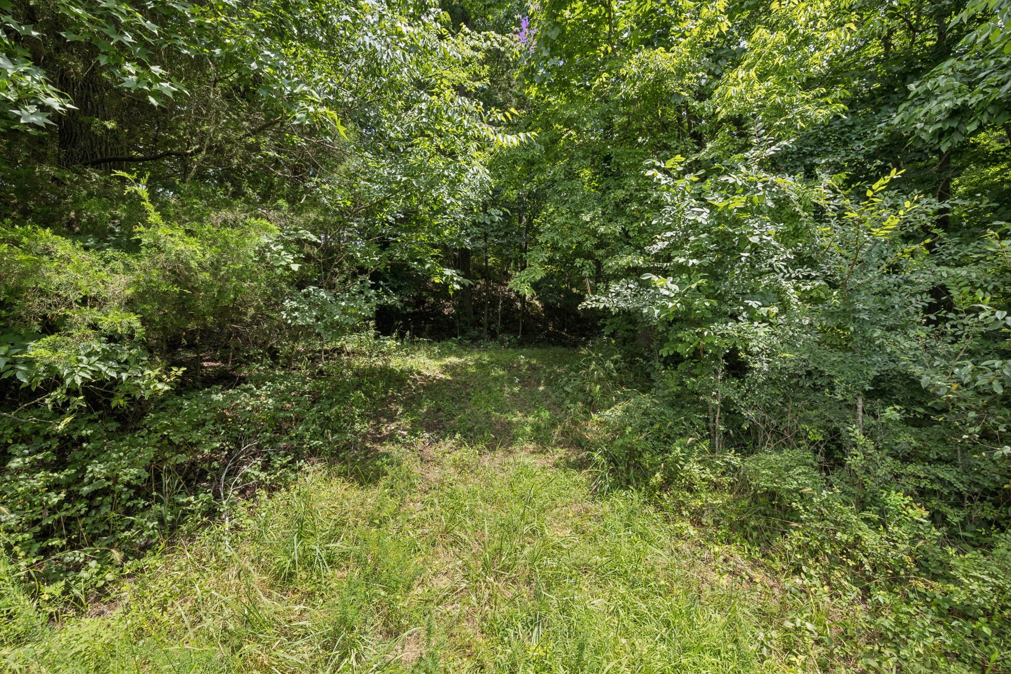 0 Deer Creek Rd Property Photo 4