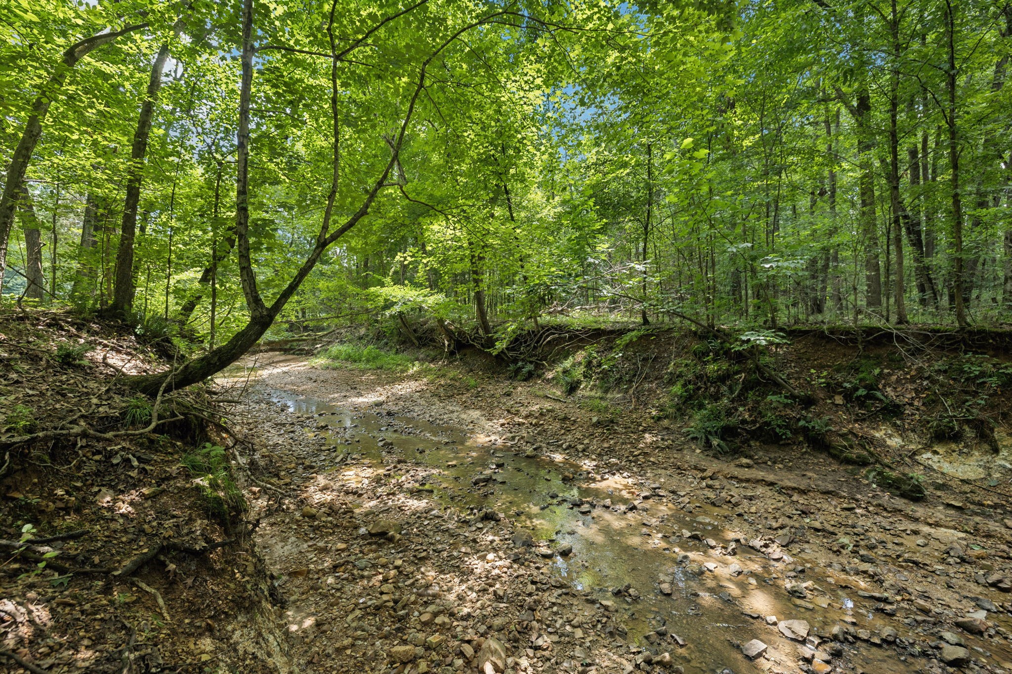 0 Deer Creek Rd Property Photo 6