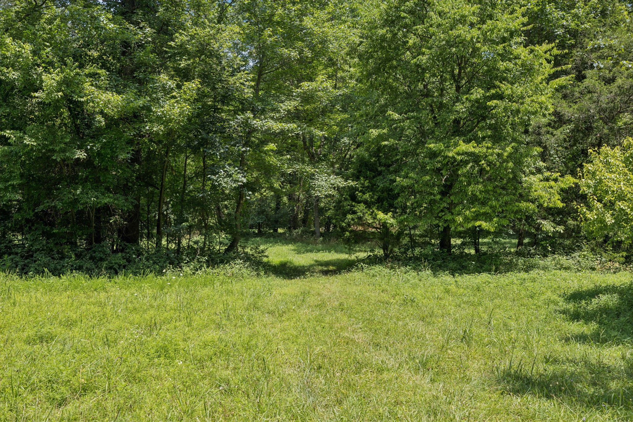 0 Deer Creek Rd Property Photo 8