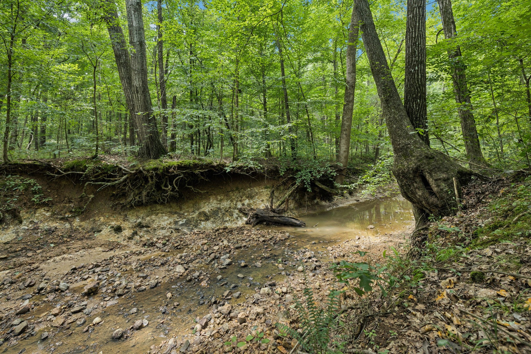 0 Deer Creek Rd Property Photo 10