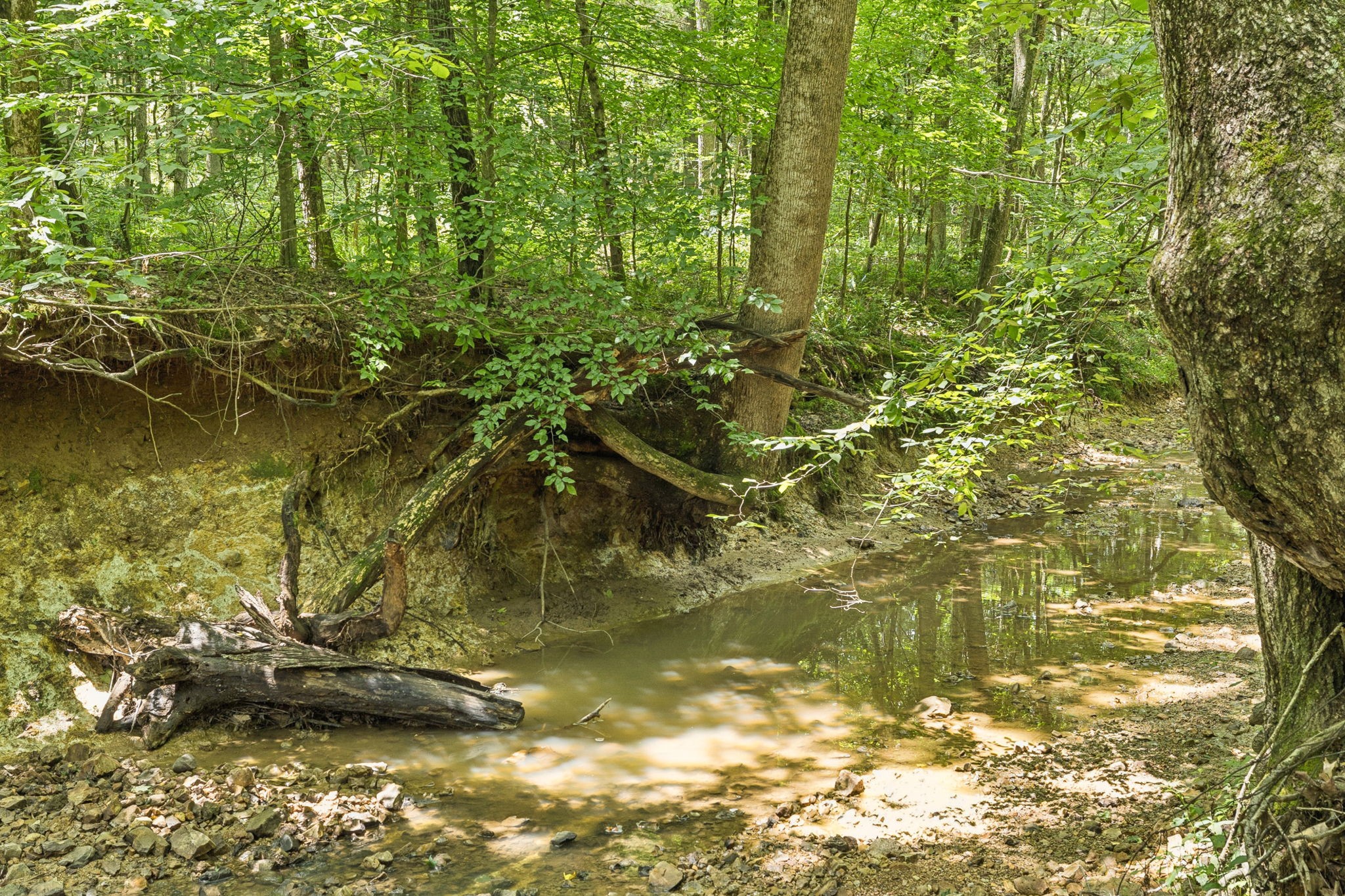 0 Deer Creek Rd Property Photo 12