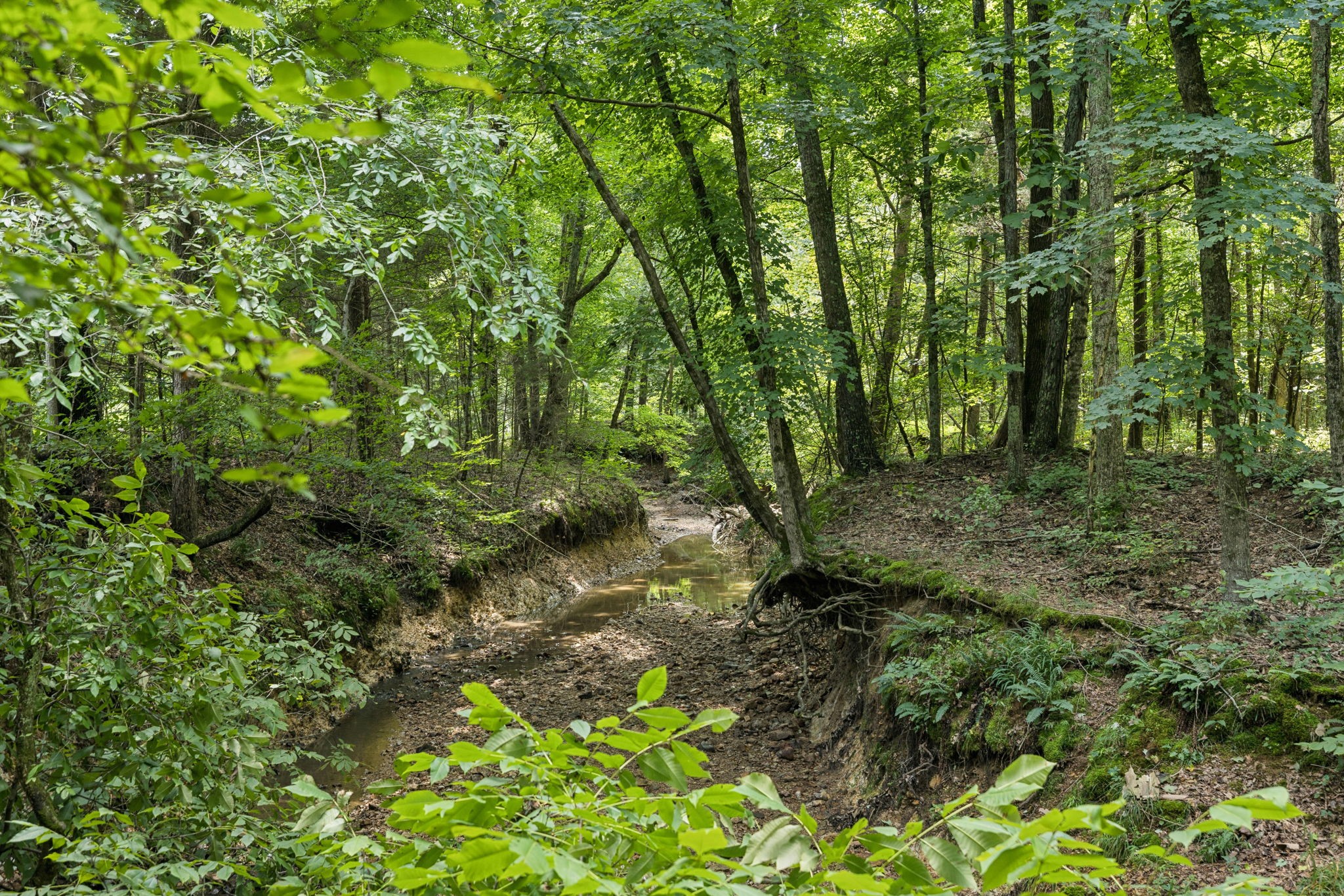 0 Deer Creek Rd Property Photo 18