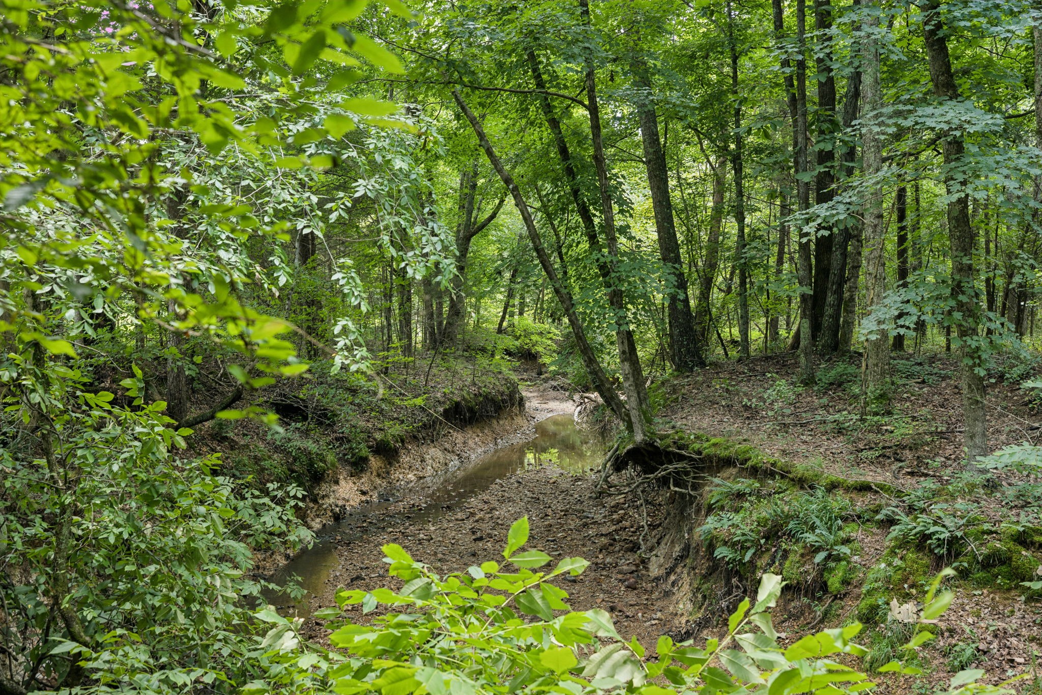 0 Deer Creek Rd Property Photo 19