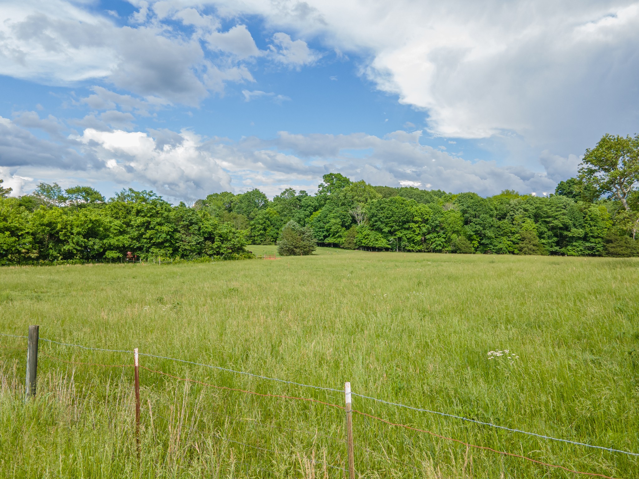 0 Franklin Pike Property Photo