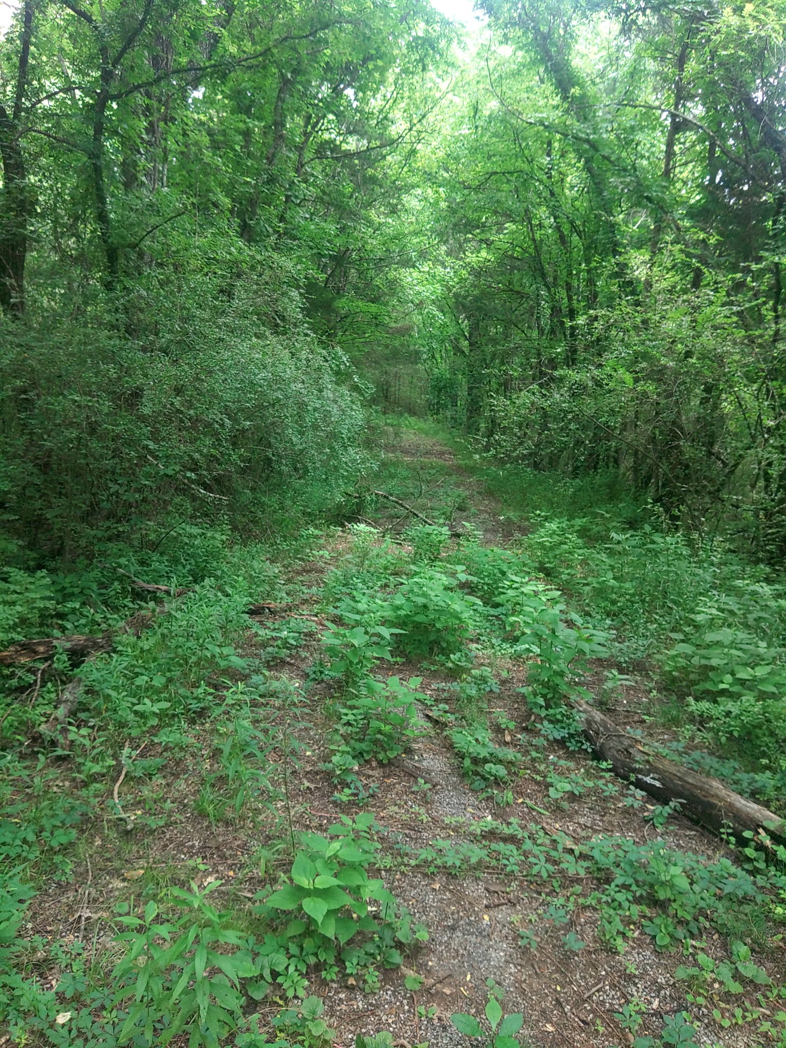 468 Adams Rd Property Photo 1